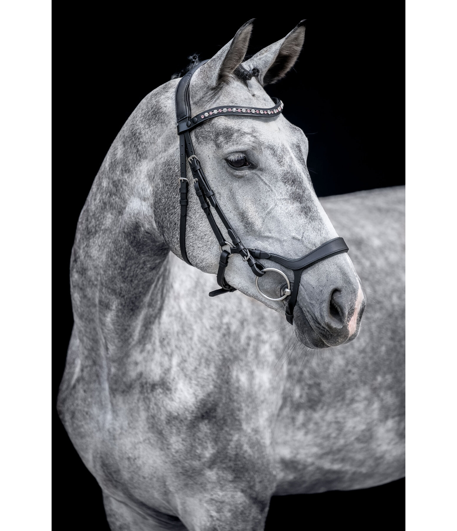 Mix & Match Ge�ltes Leder-Reithalfter Revolution