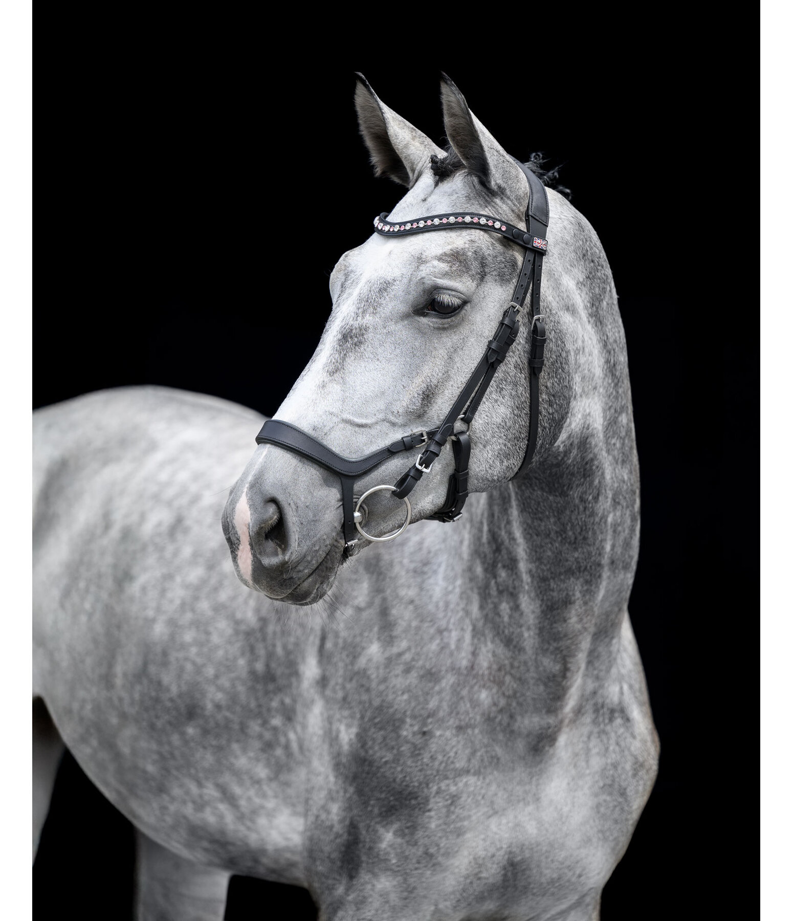 Mix & Match Ge�ltes Leder-Reithalfter Revolution