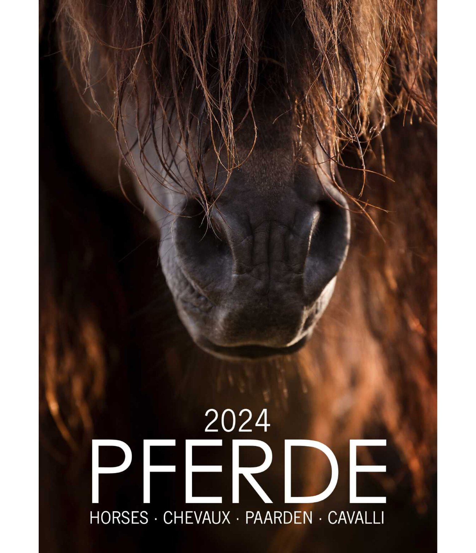 Pferdekalender 2024 - Kalender