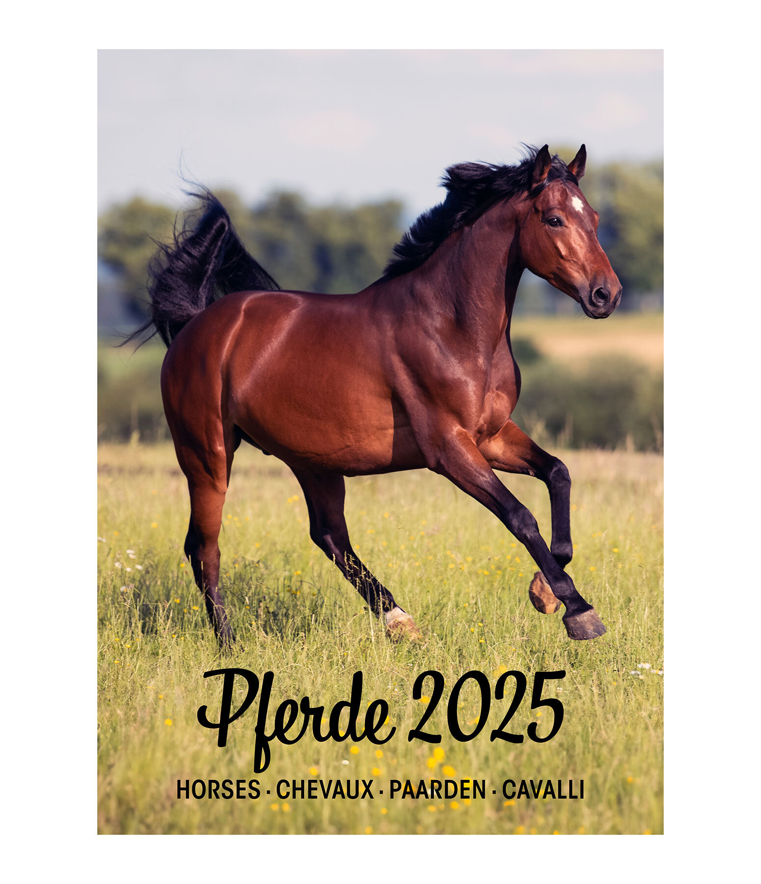 Krämer Pferdesport Kalender 2022