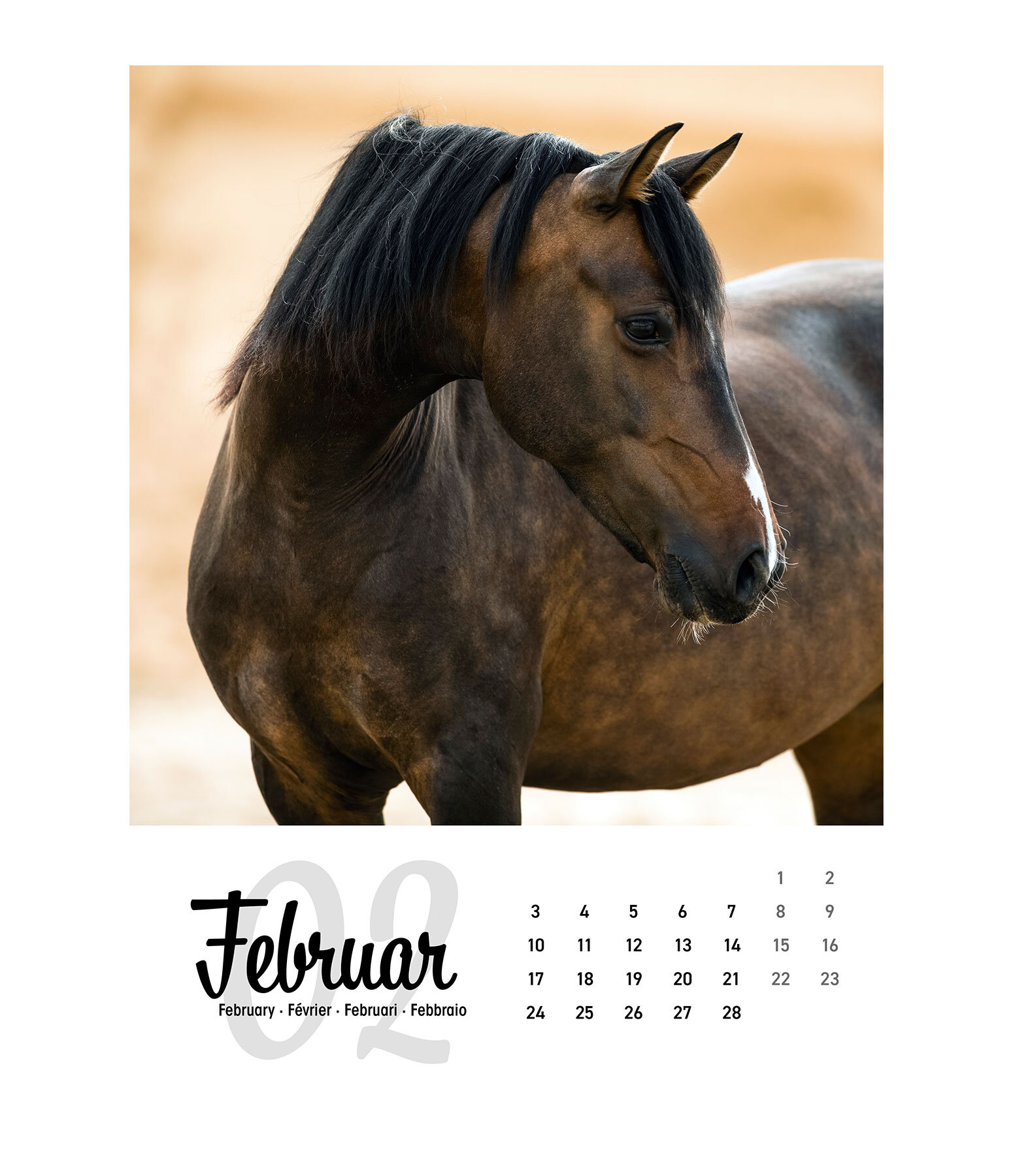 Pferdekalender 2021