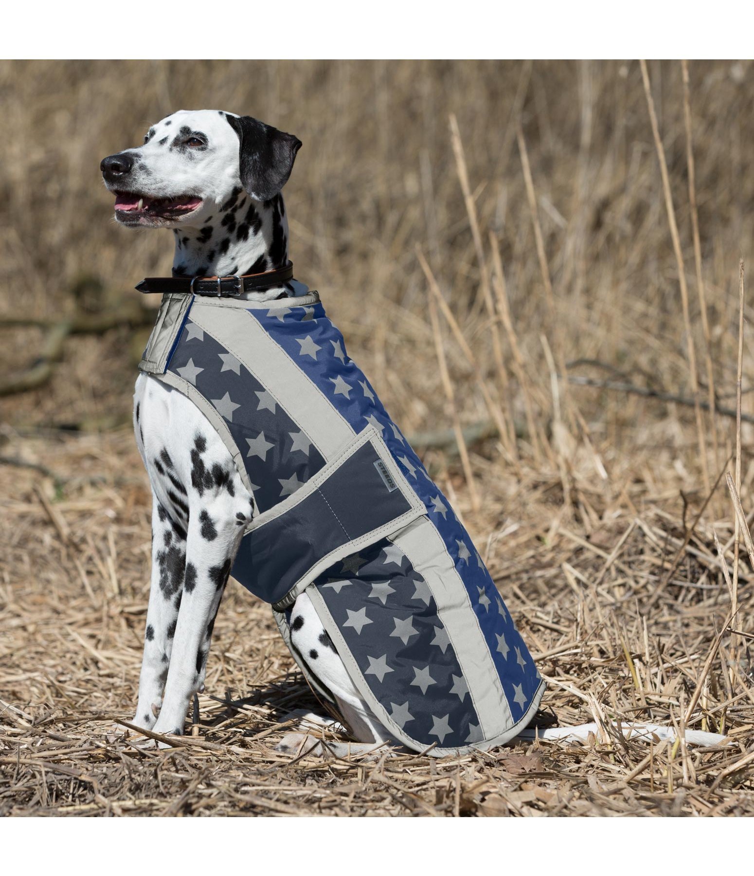 Reflex-Hundejacke Starlight mit Fleeceinnenfutter 200 g