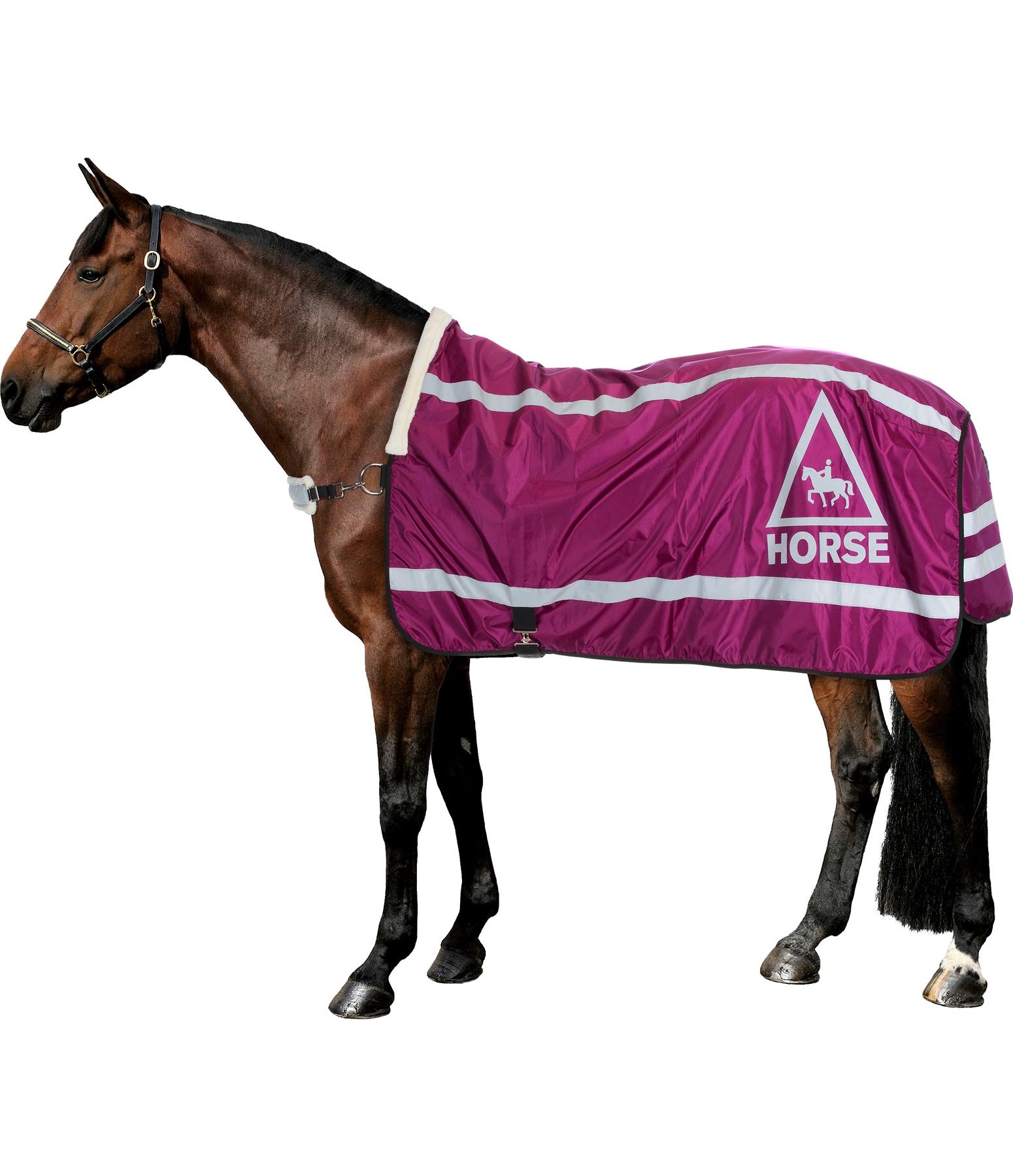 Reflex-Führdecke HORSE 360°