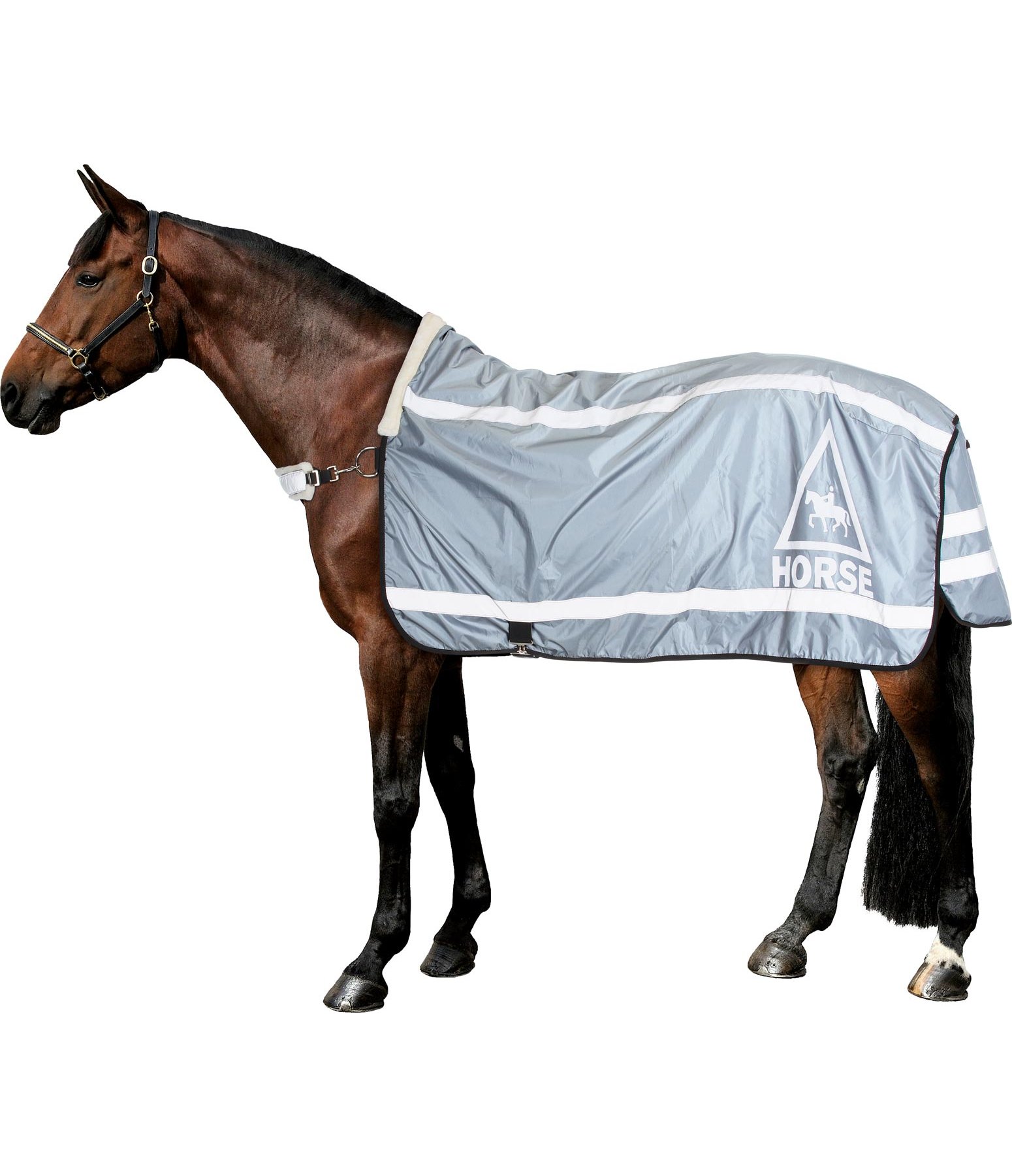 Reflex-Führdecke HORSE 360°