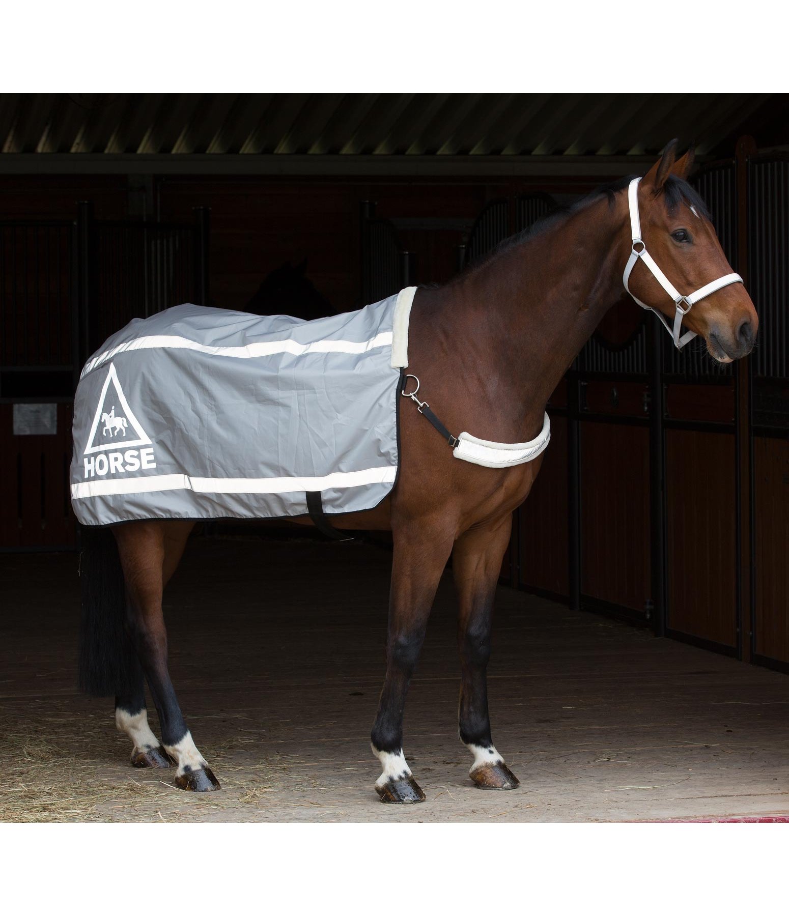 Reflex-Führdecke HORSE 360°