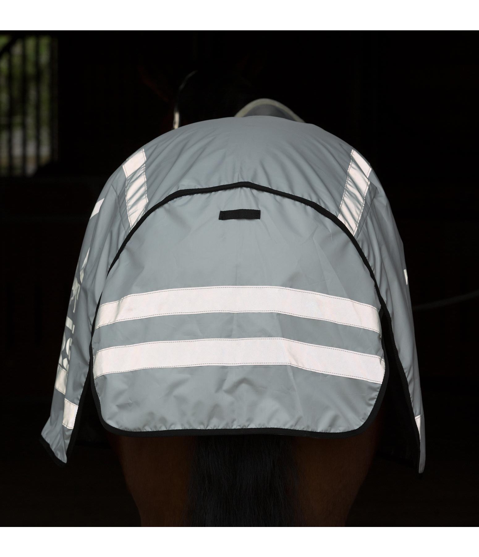 Reflex-Führdecke HORSE 360°