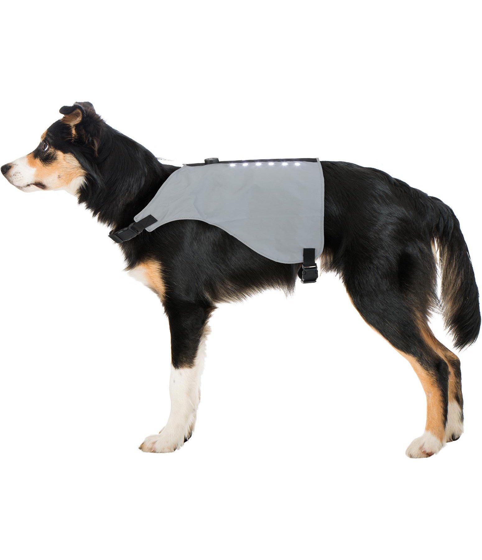 LED-Hunde-Reflexweste Shine-Bright