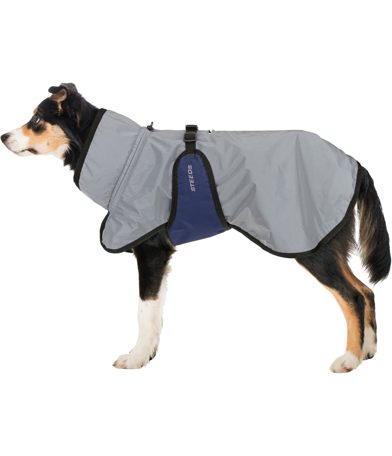 Reflex-Hundejacke Highlight