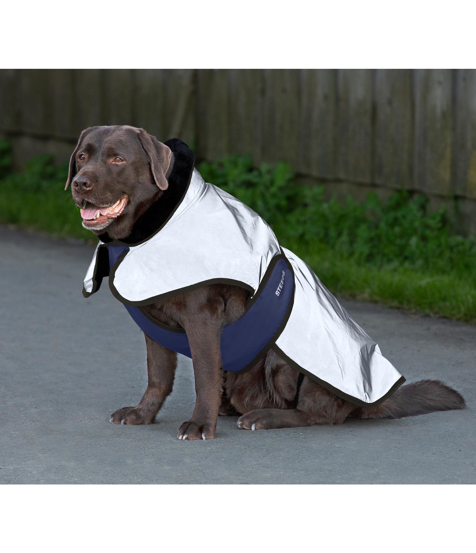 Reflex-Hundejacke Highlight