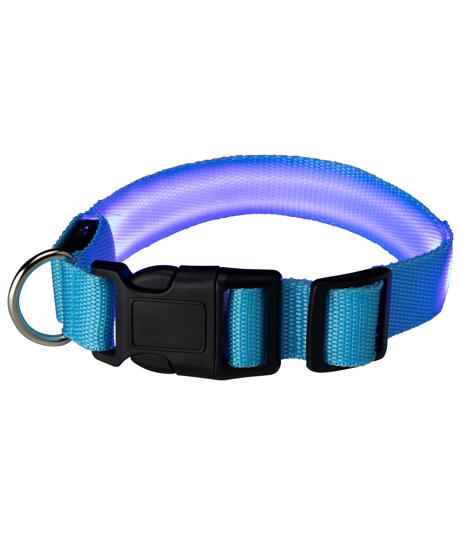 LED-Hundehalsband Loom