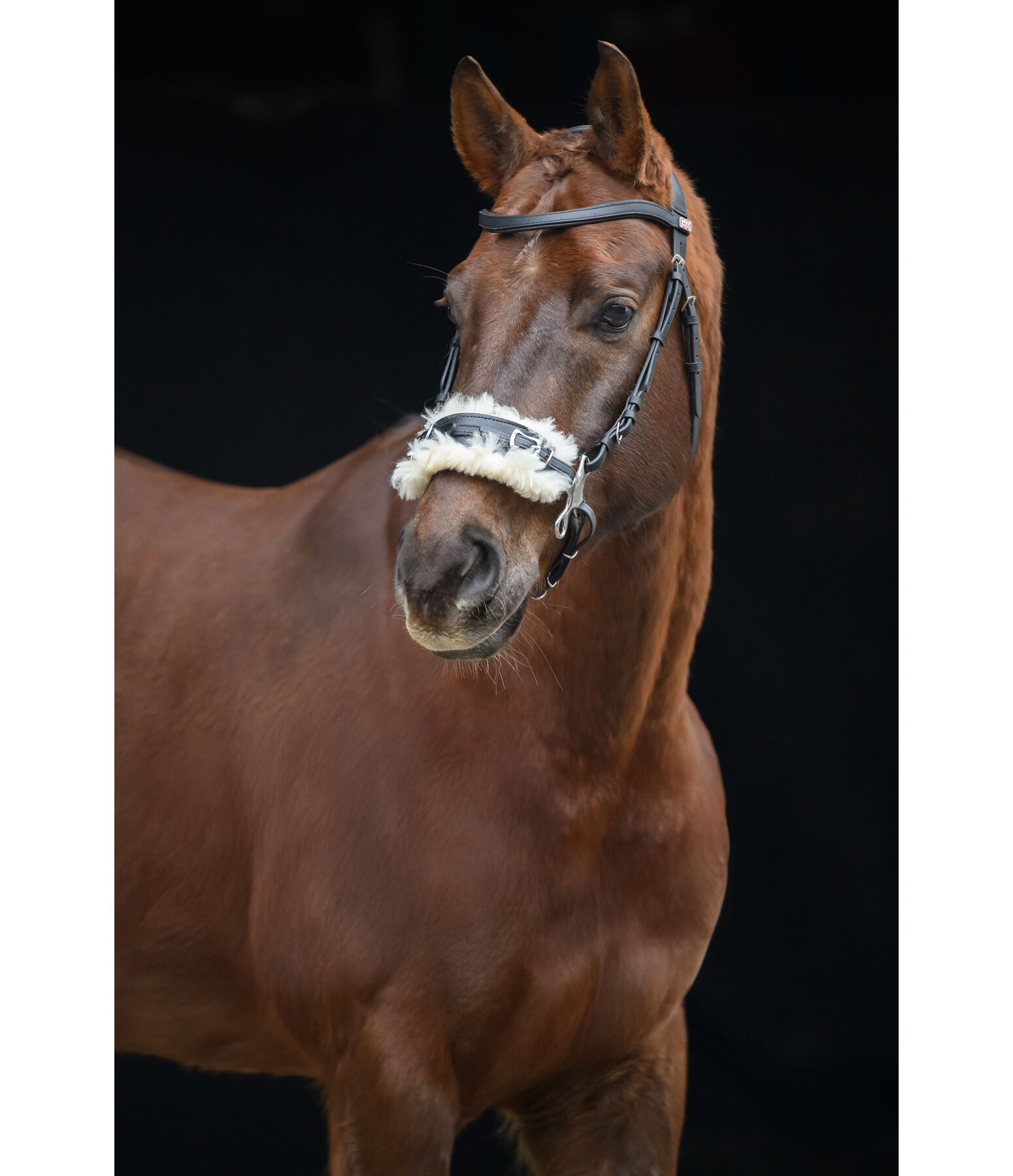 Hackamore mit Fellpolster