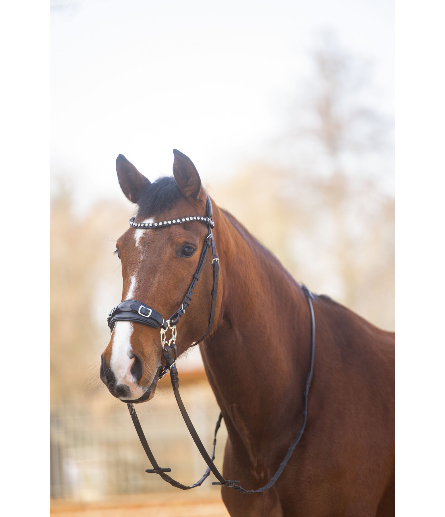 Gl�cksrad II