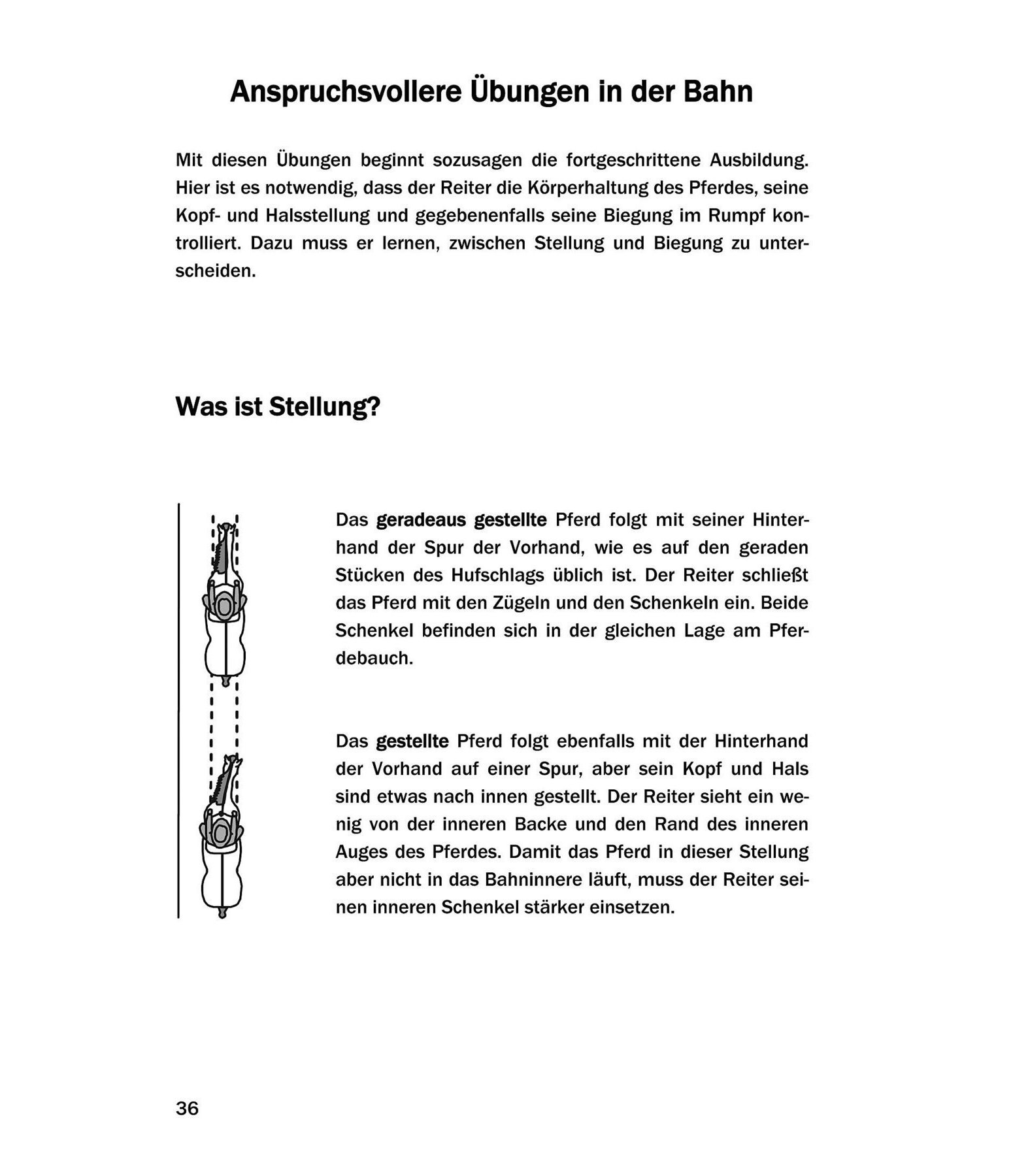 100 Übungen für Westernreiter Band I