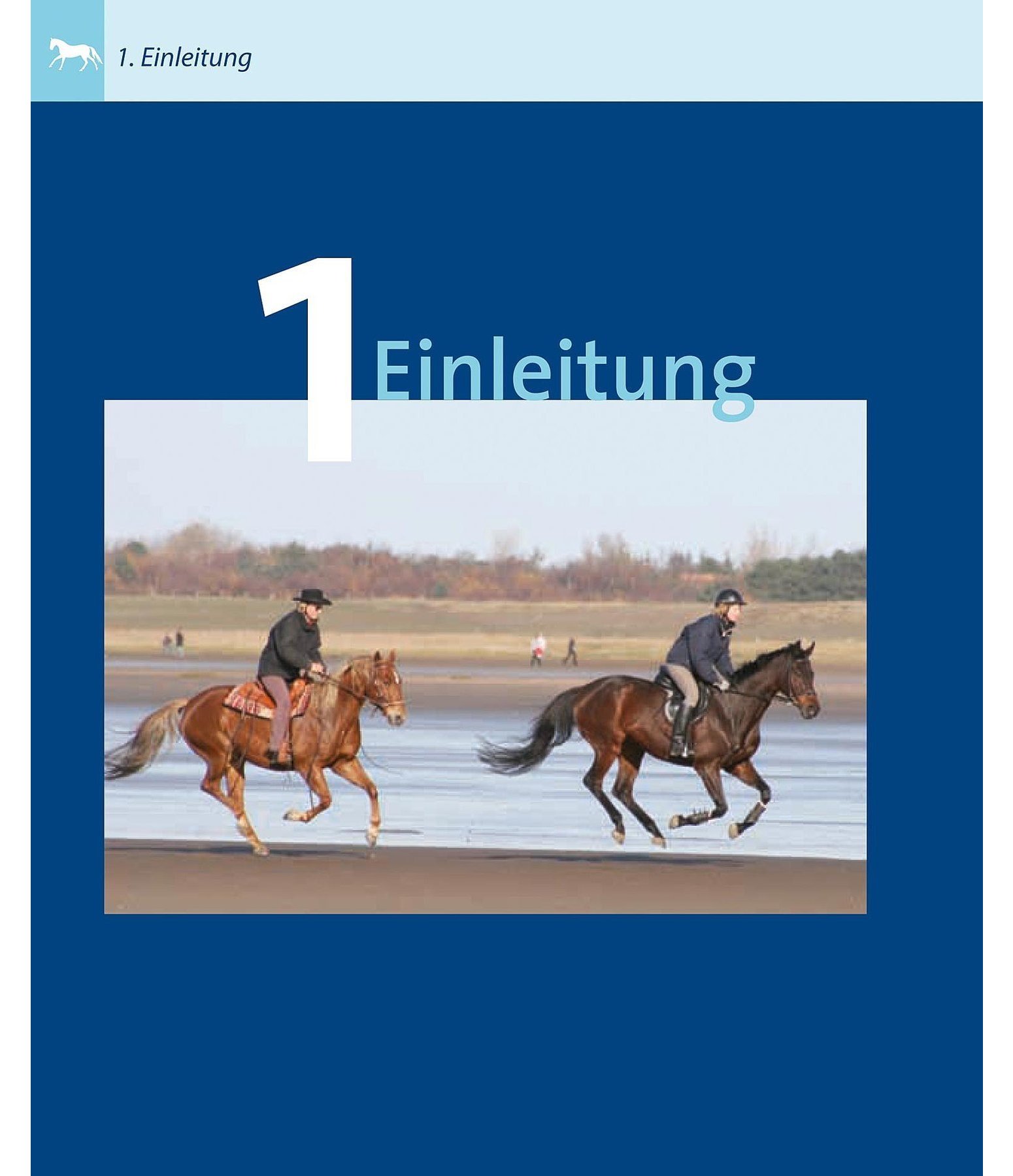 Grundkurs - Sitz und Hilfen