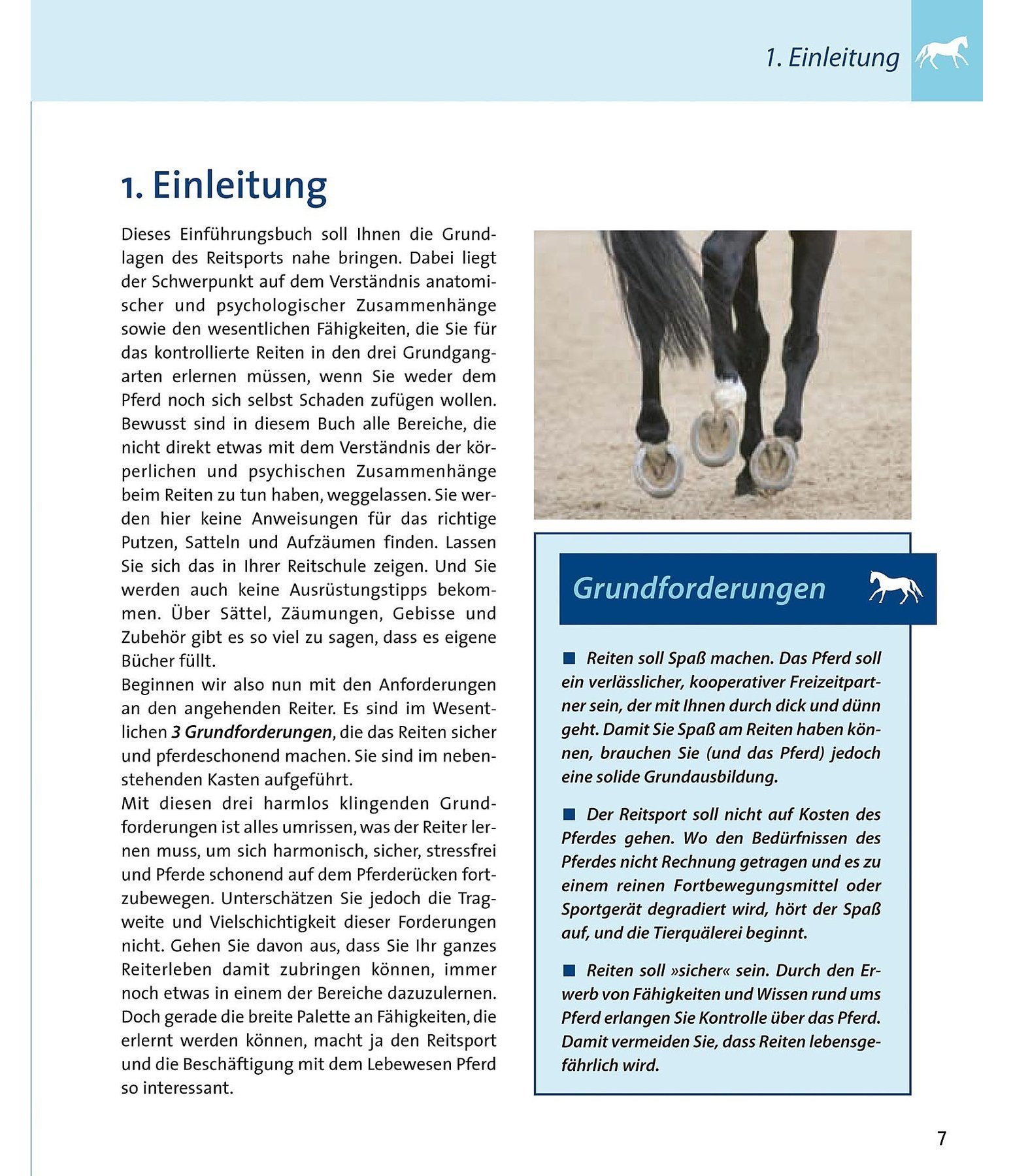 Grundkurs - Sitz und Hilfen