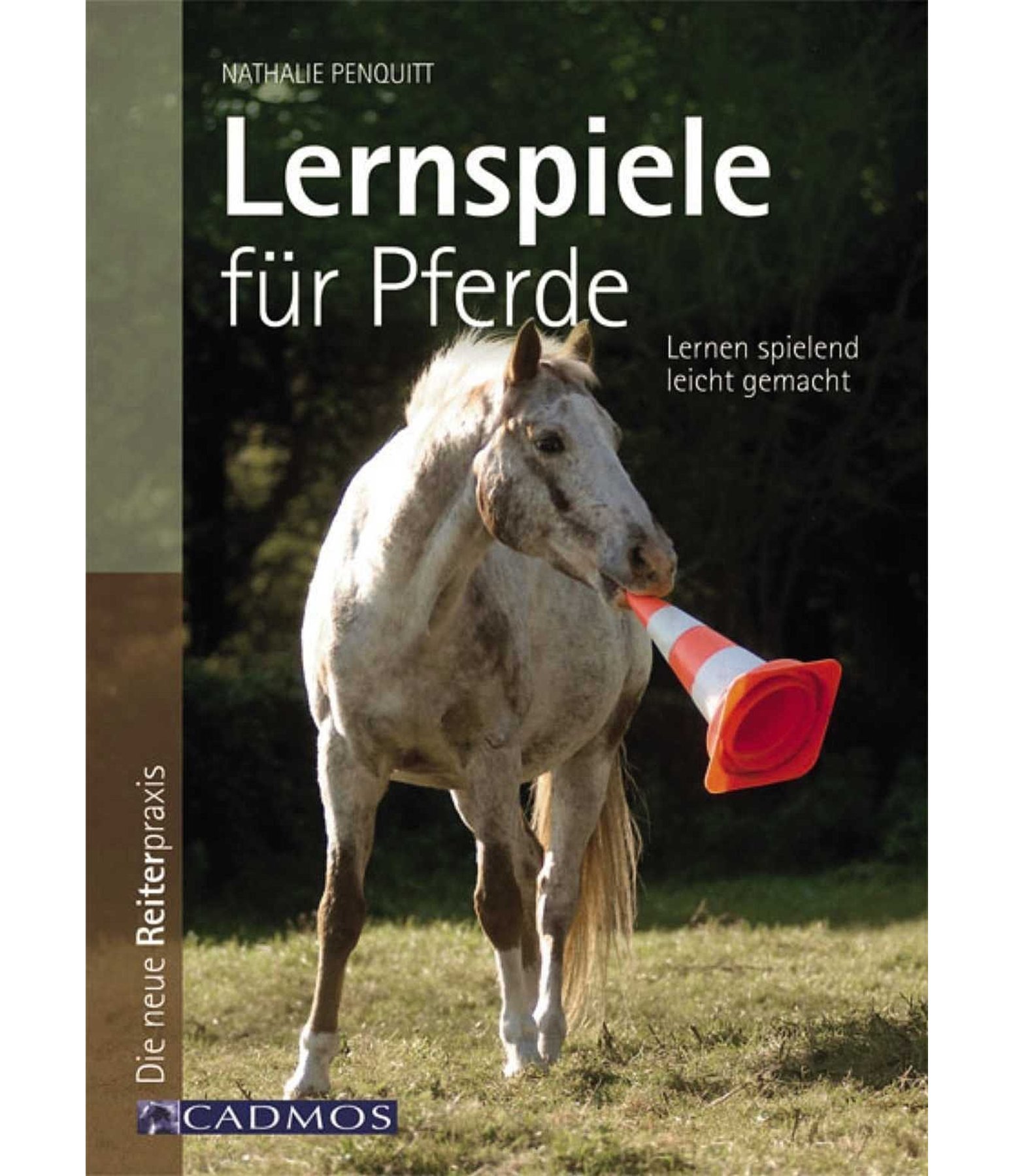 Lernspiele für Pferde