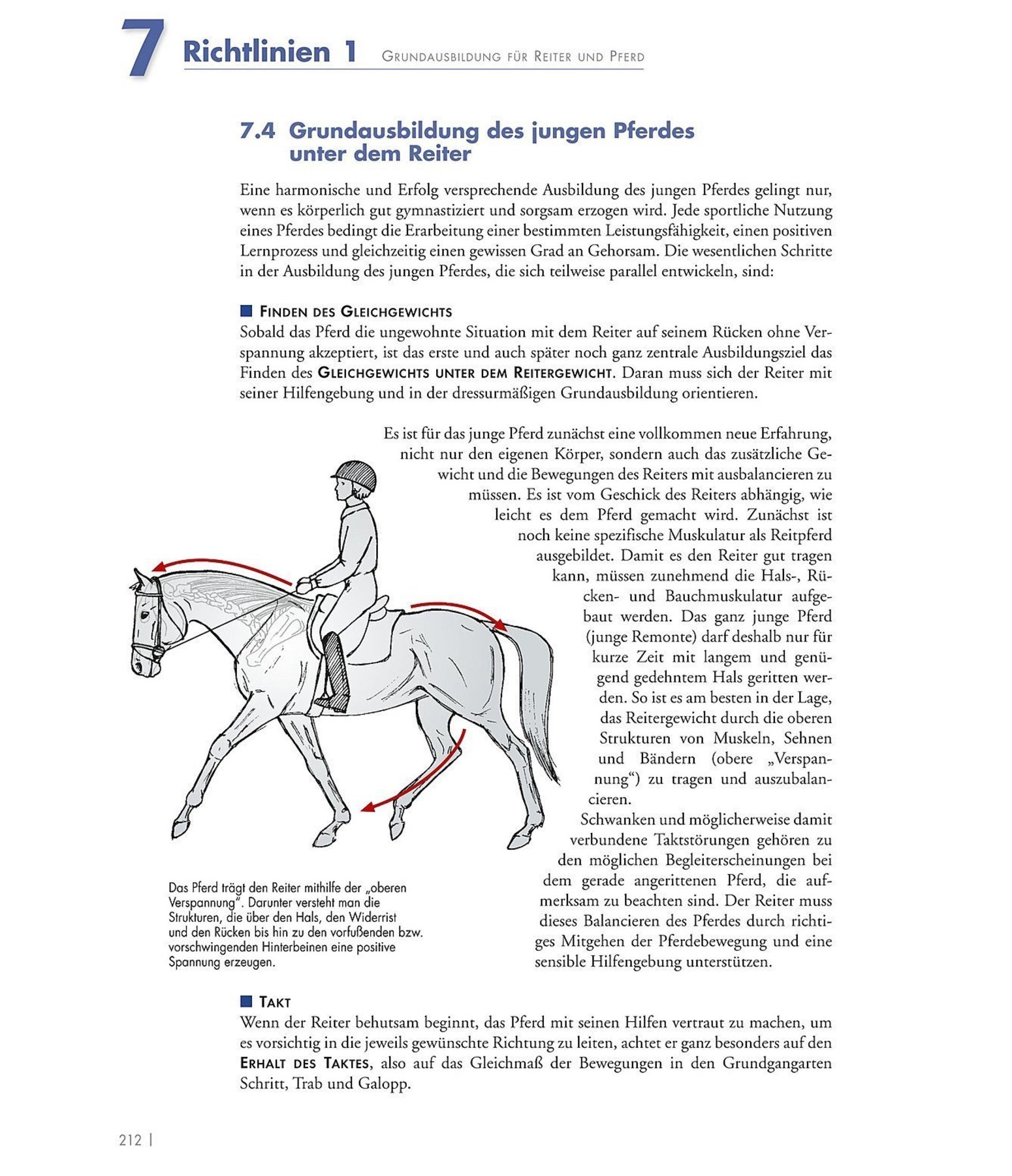 Band 1: Grundausbildung für Reiter und Pferd
