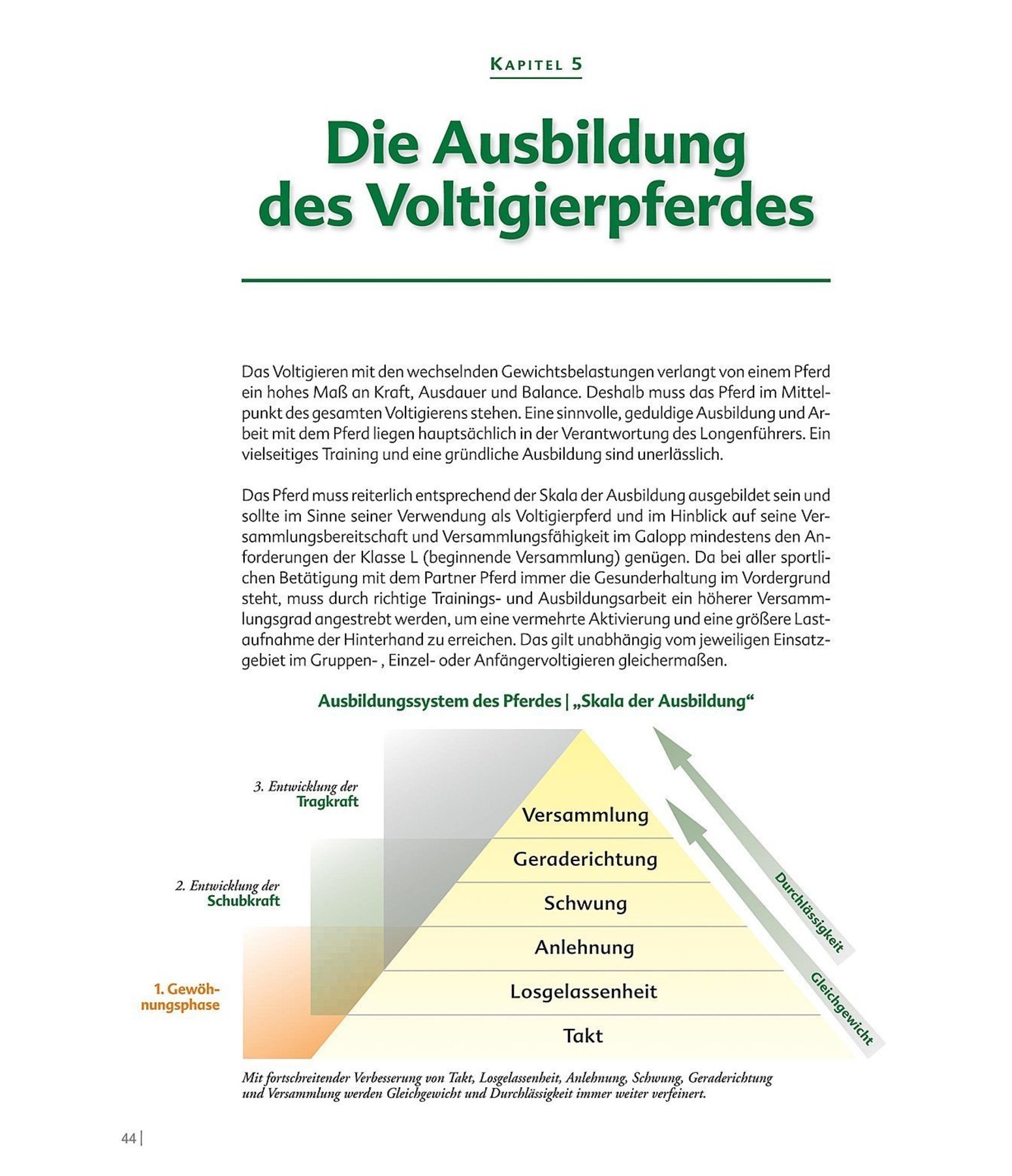Richtlinien Band 3: Voltigieren