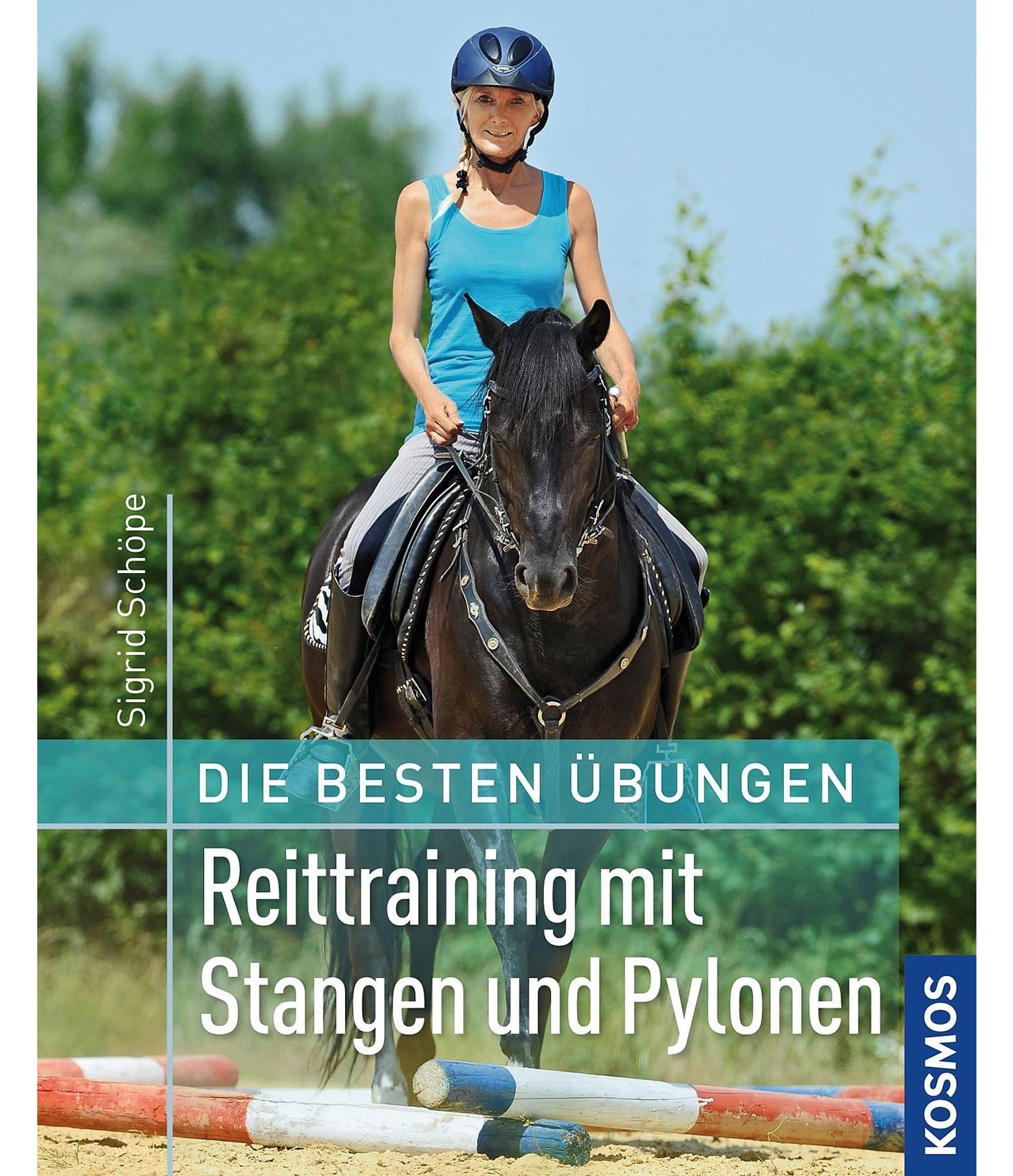Die besten Übungen - Reittraining mit Stangen und Pylonen