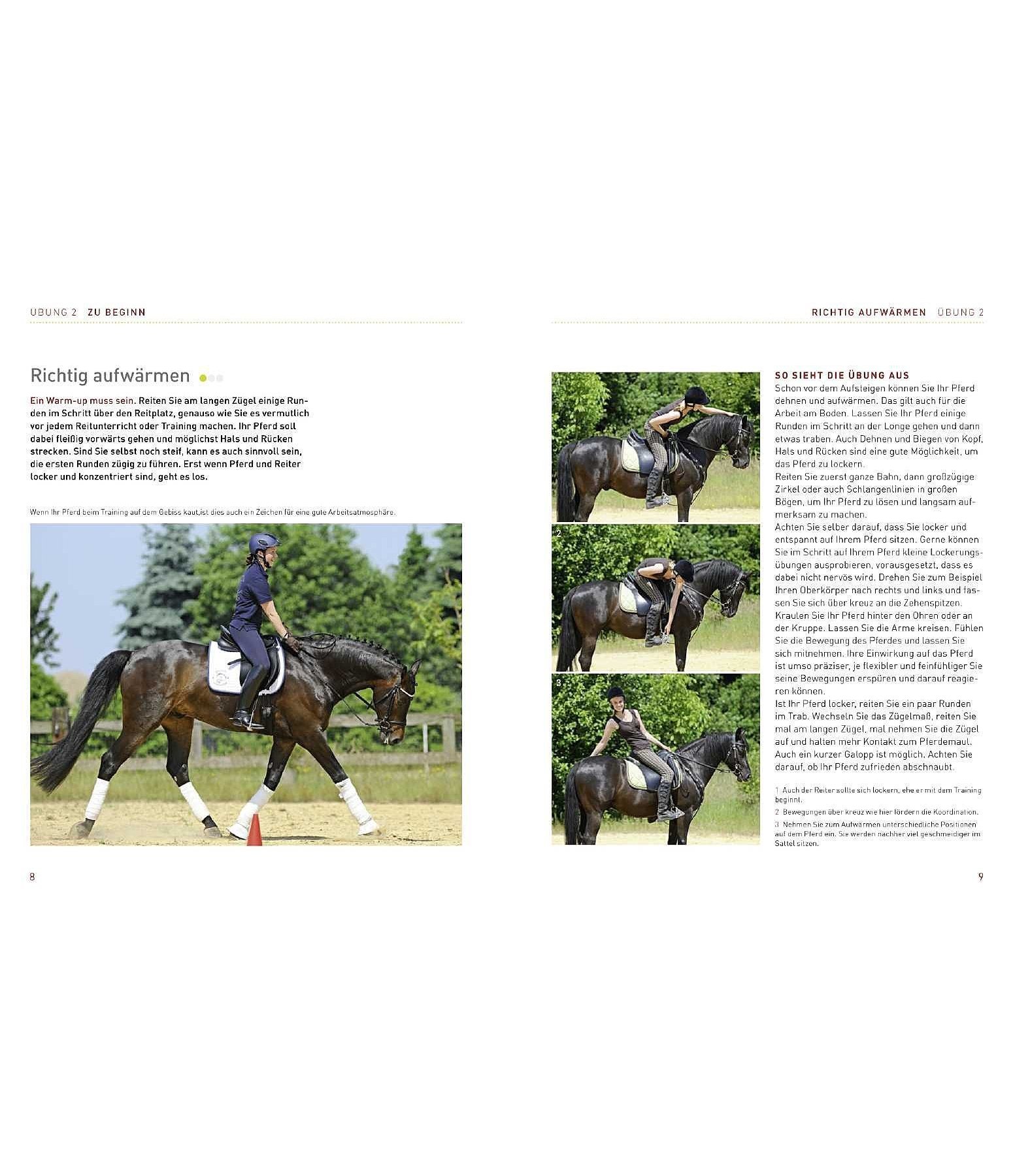 Die besten Übungen - Reittraining mit Stangen und Pylonen