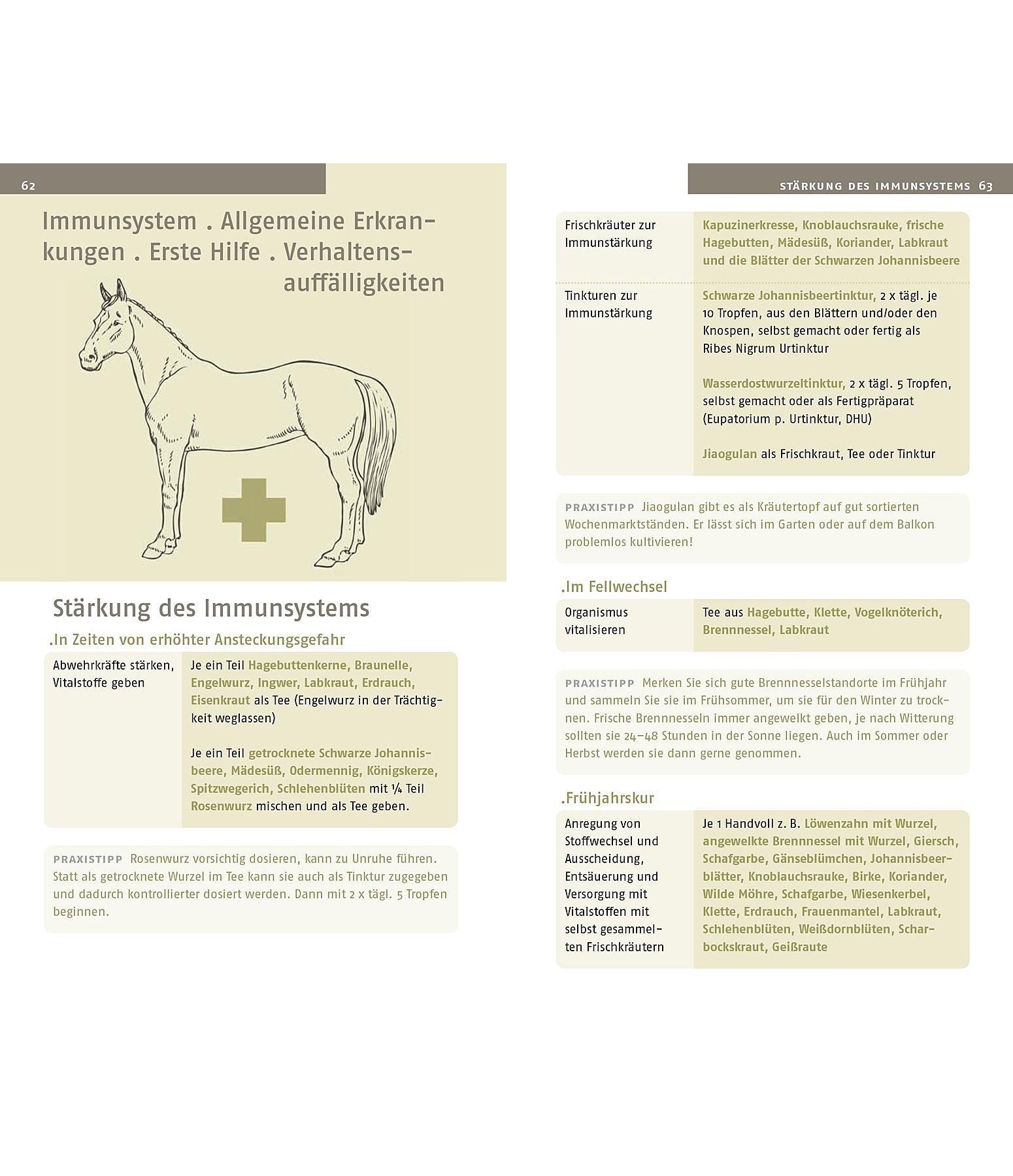Heilkräuter für Pferde