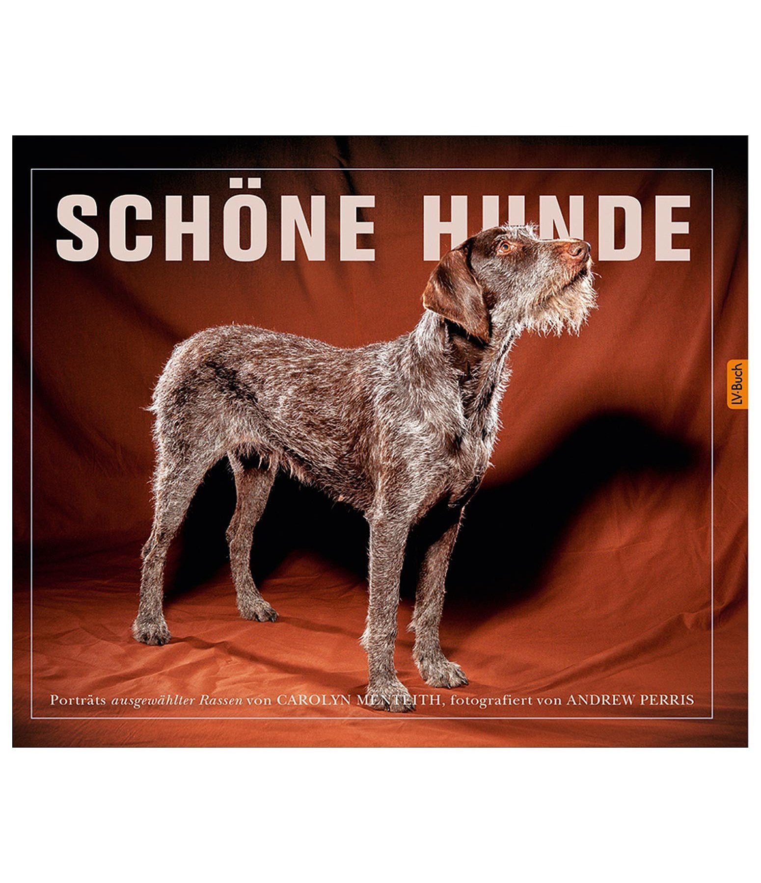 Schöne Hunde