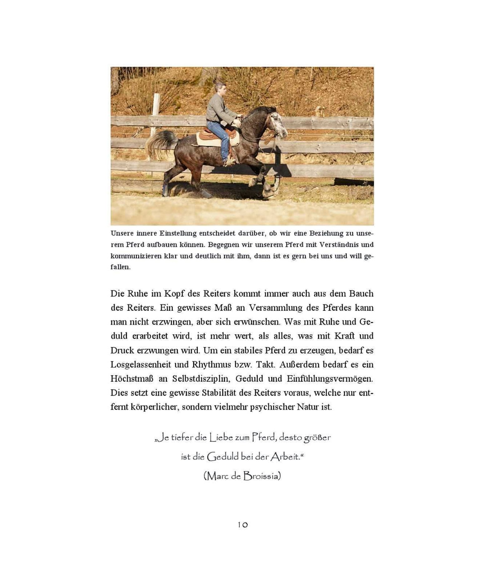 Reiten: Im Sinne des Pferdes