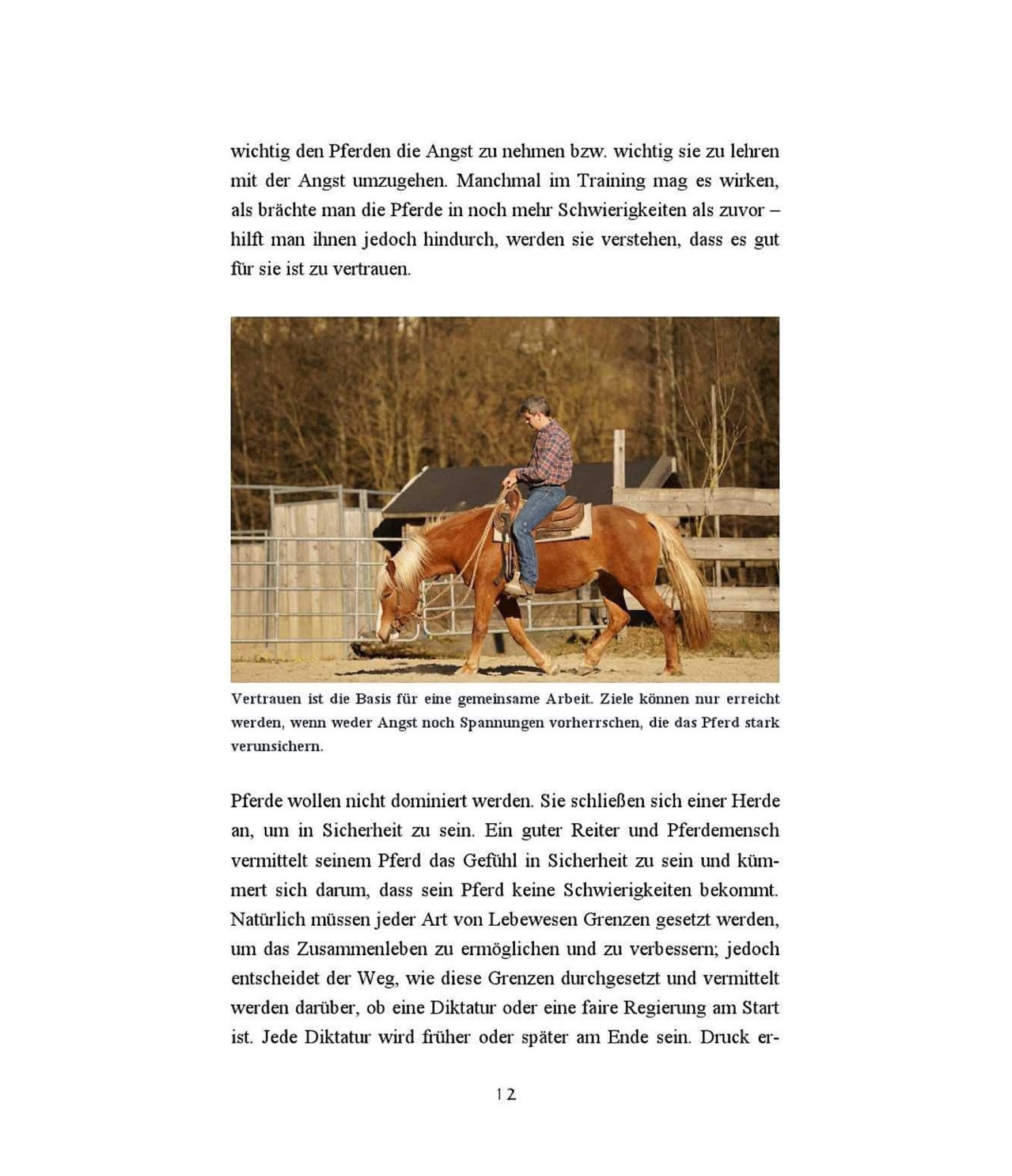 Reiten: Im Sinne des Pferdes