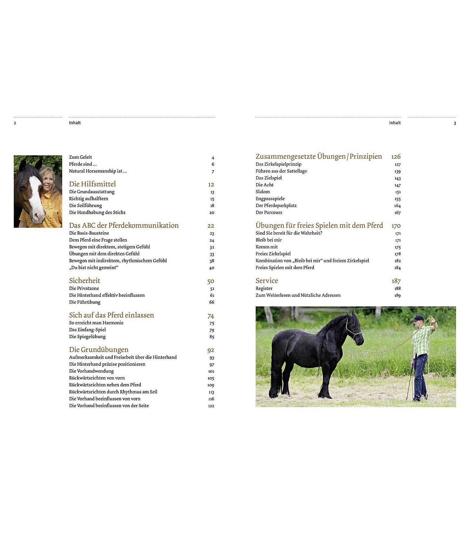 Übungsbuch Natural Horsemanship
