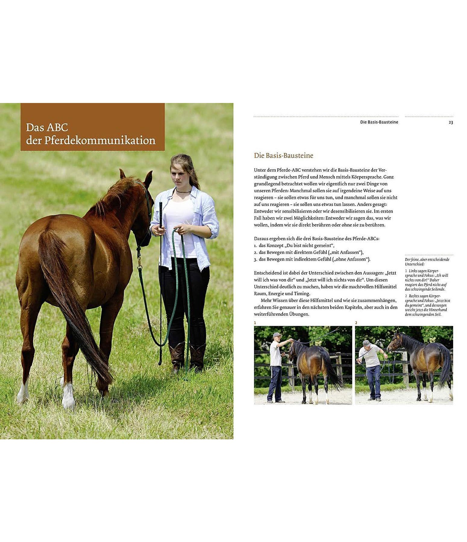 Übungsbuch Natural Horsemanship