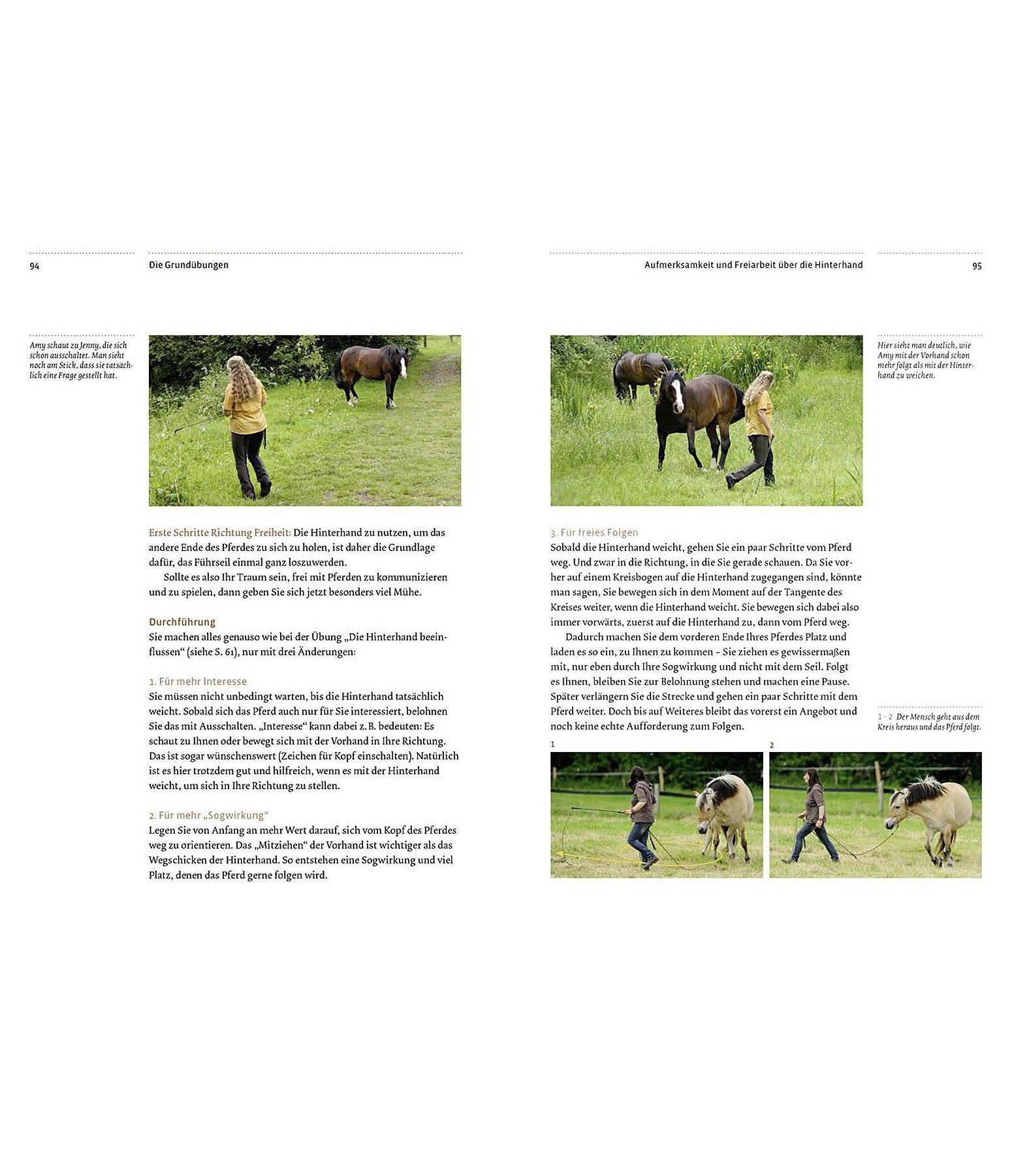 Übungsbuch Natural Horsemanship