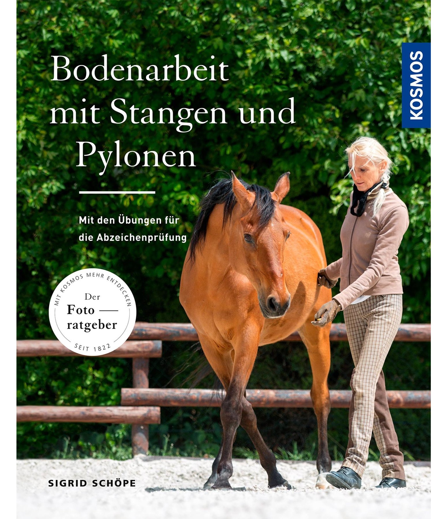 Bodenarbeit mit Stangen und Pylonen