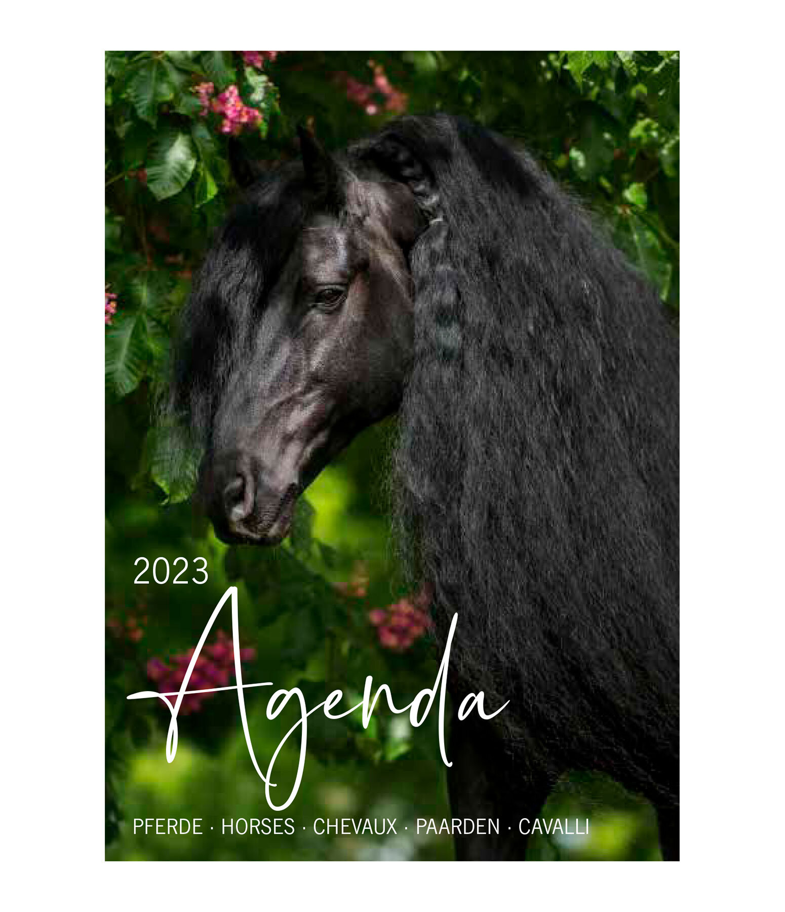 Agenda Pferde 2021