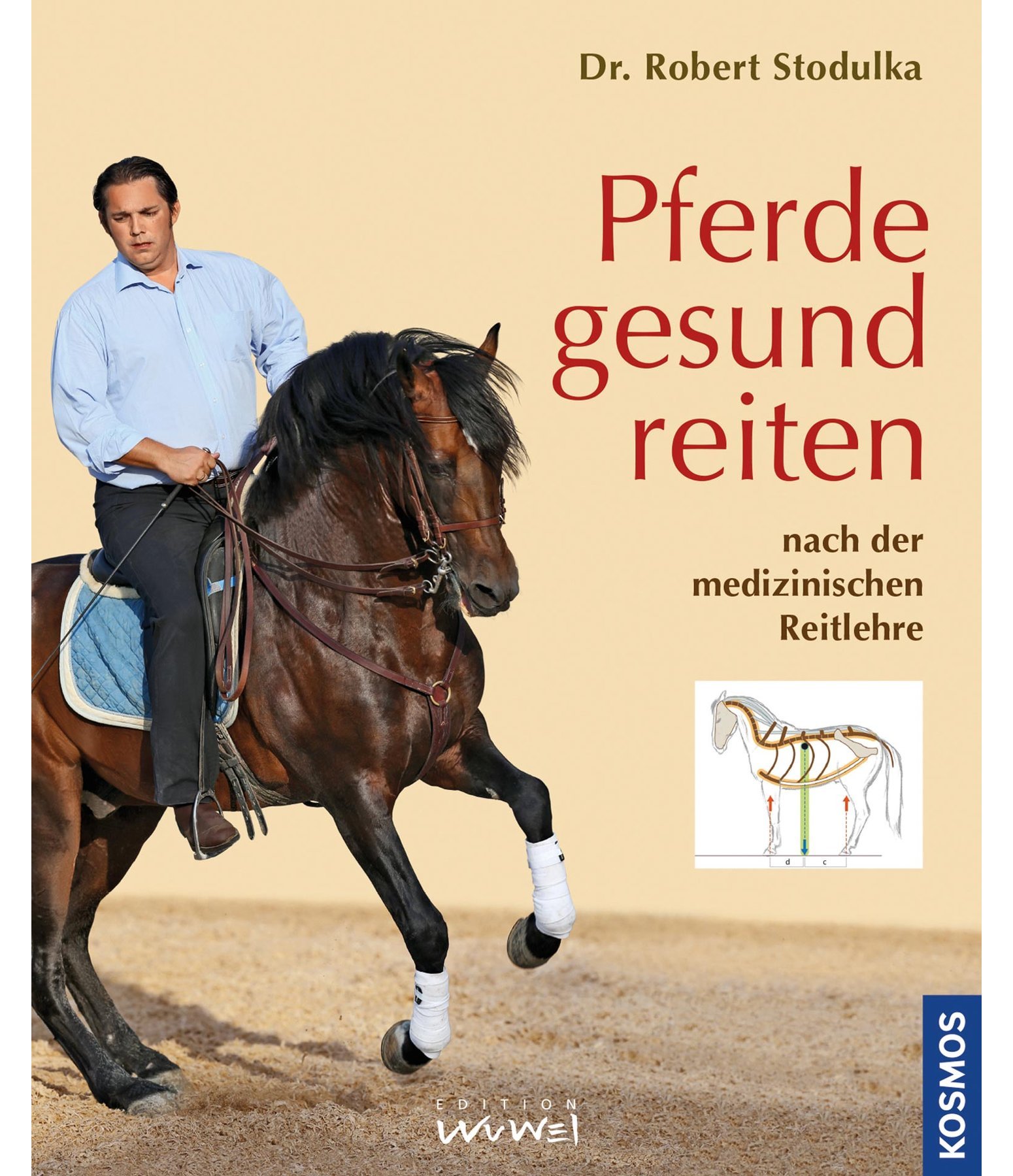 Pferde gesund reiten