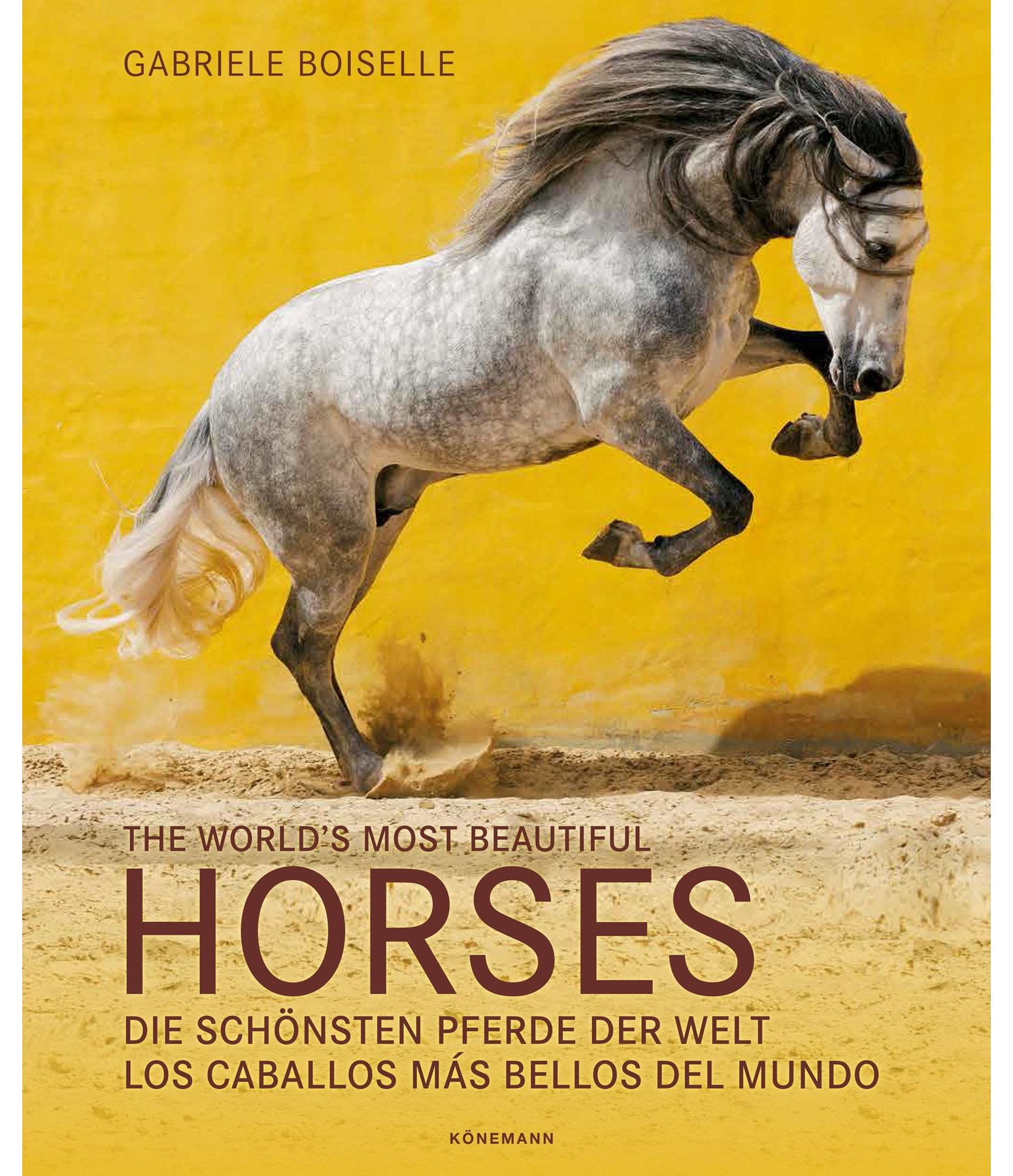 The world's most beautiful Horses /  Die schönsten Pferde der Welt