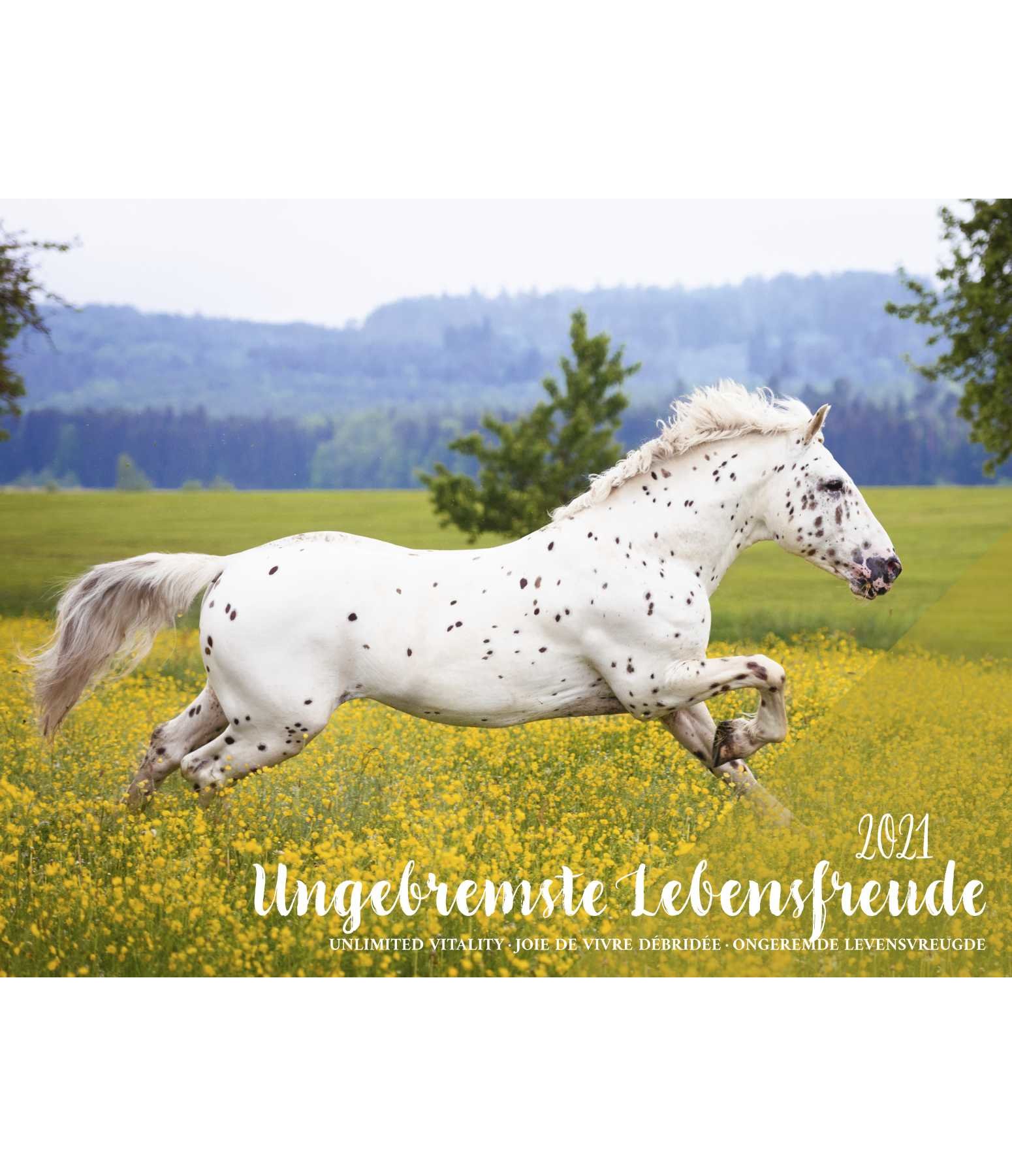 Ungebremste Lebensfreude Kalender 2021