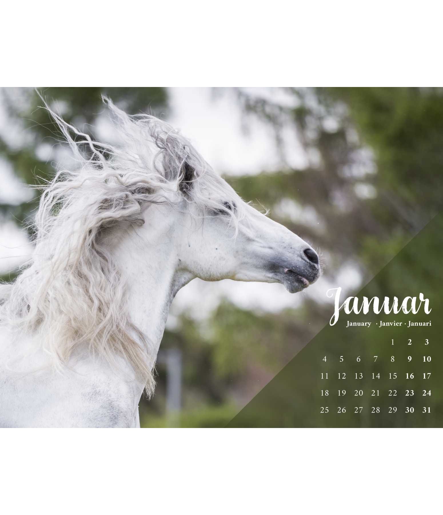 Ungebremste Lebensfreude Kalender 2021