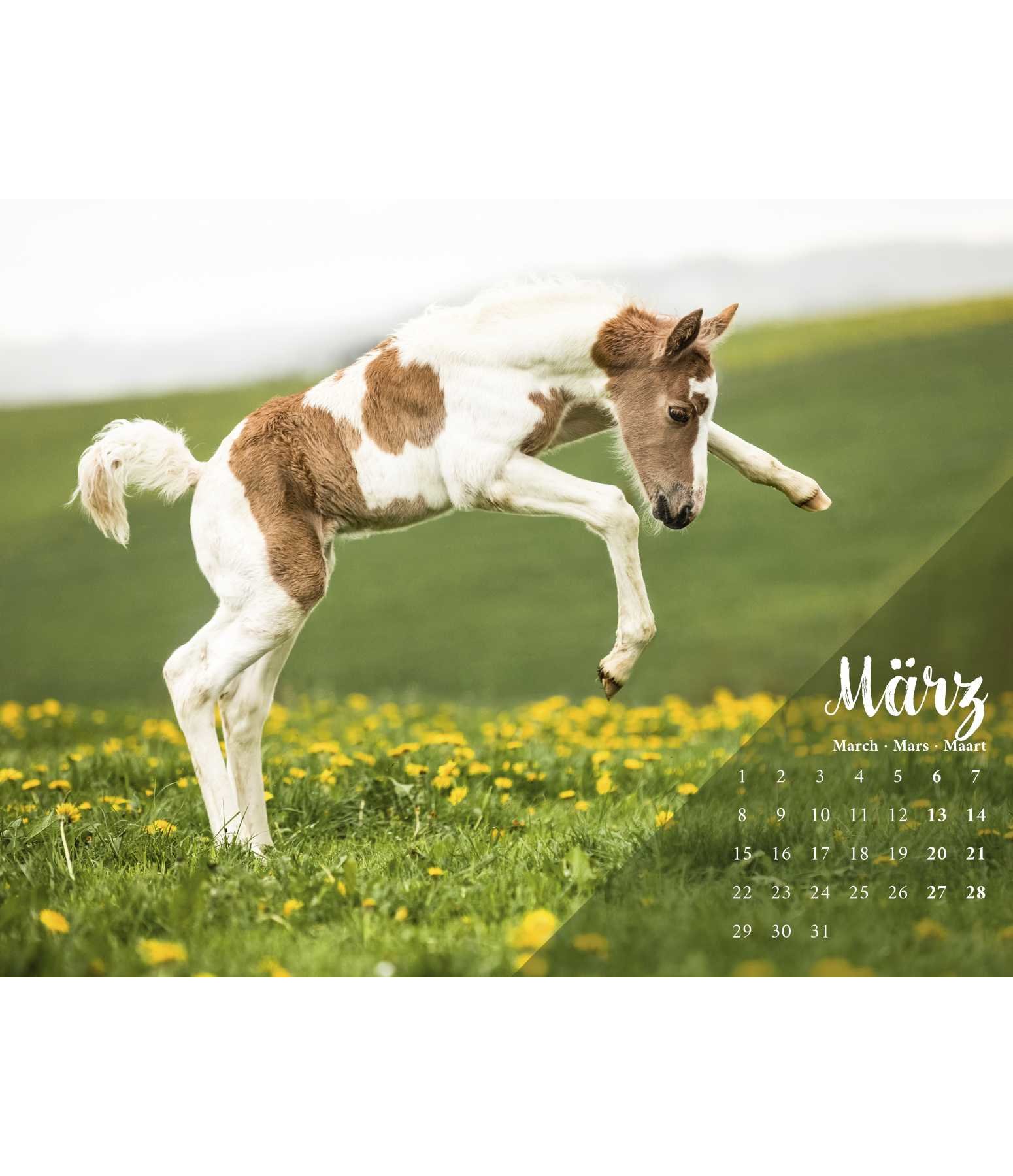 Ungebremste Lebensfreude Kalender 2021