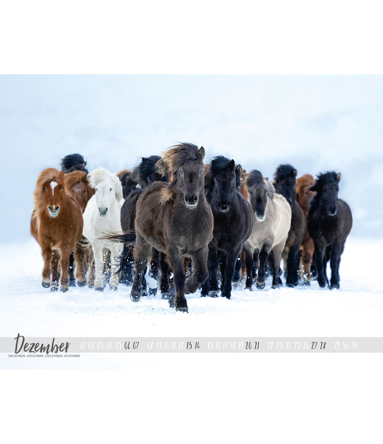 Isländer Kalender 2021