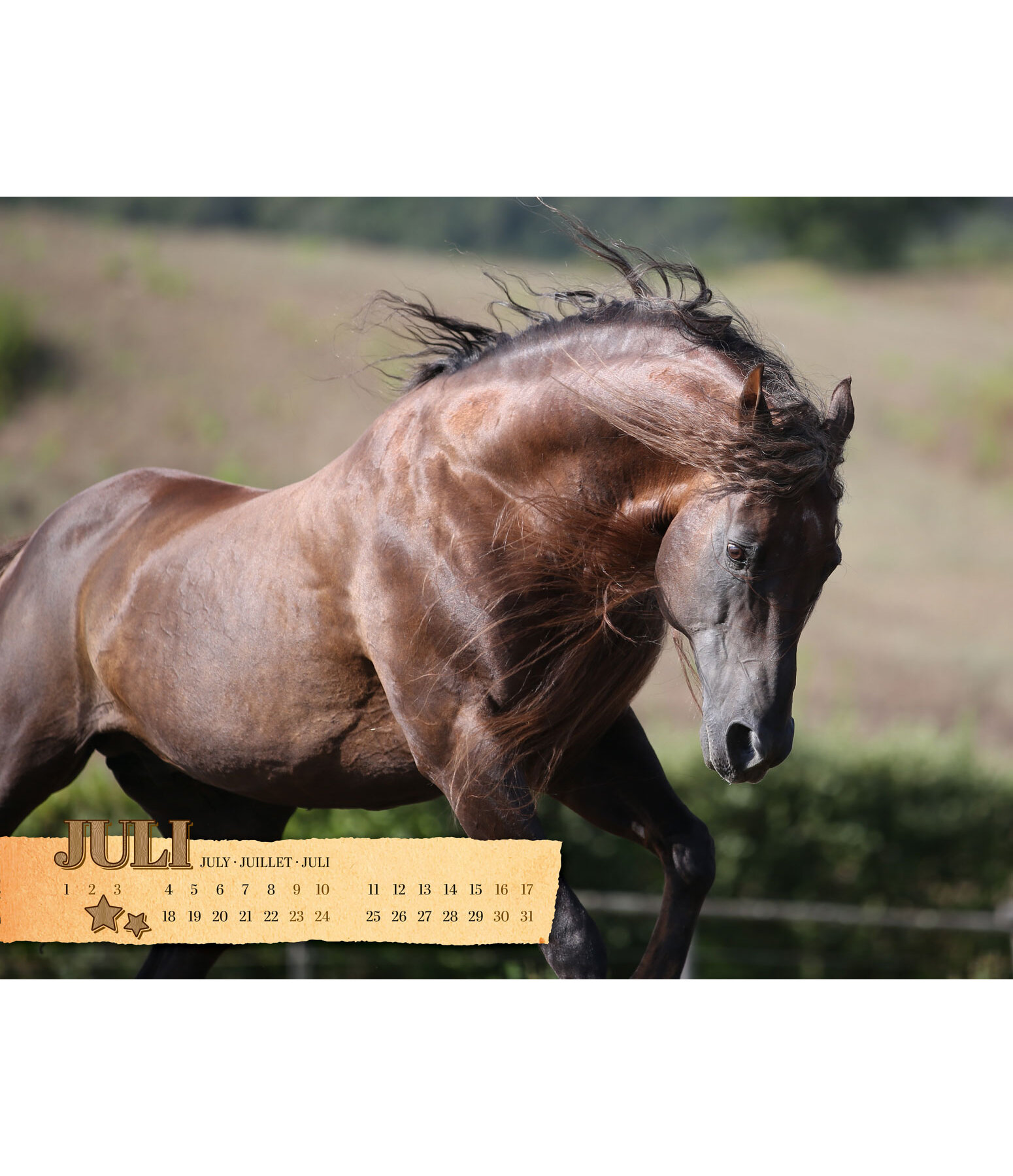 Western Kalender 2021