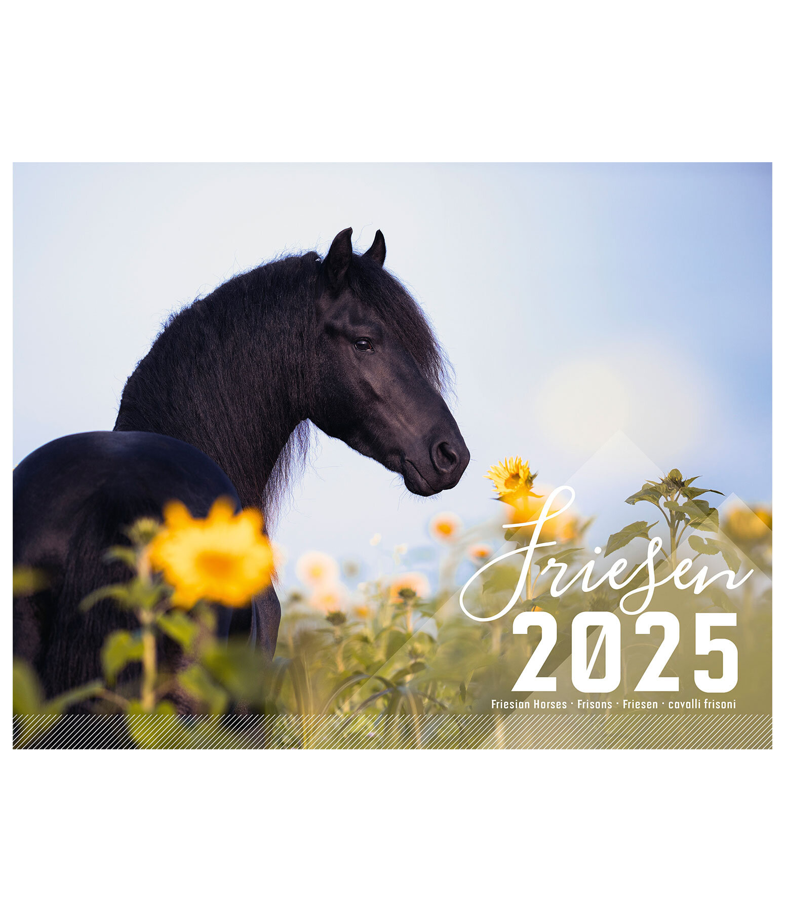 Friesen Kalender 2026