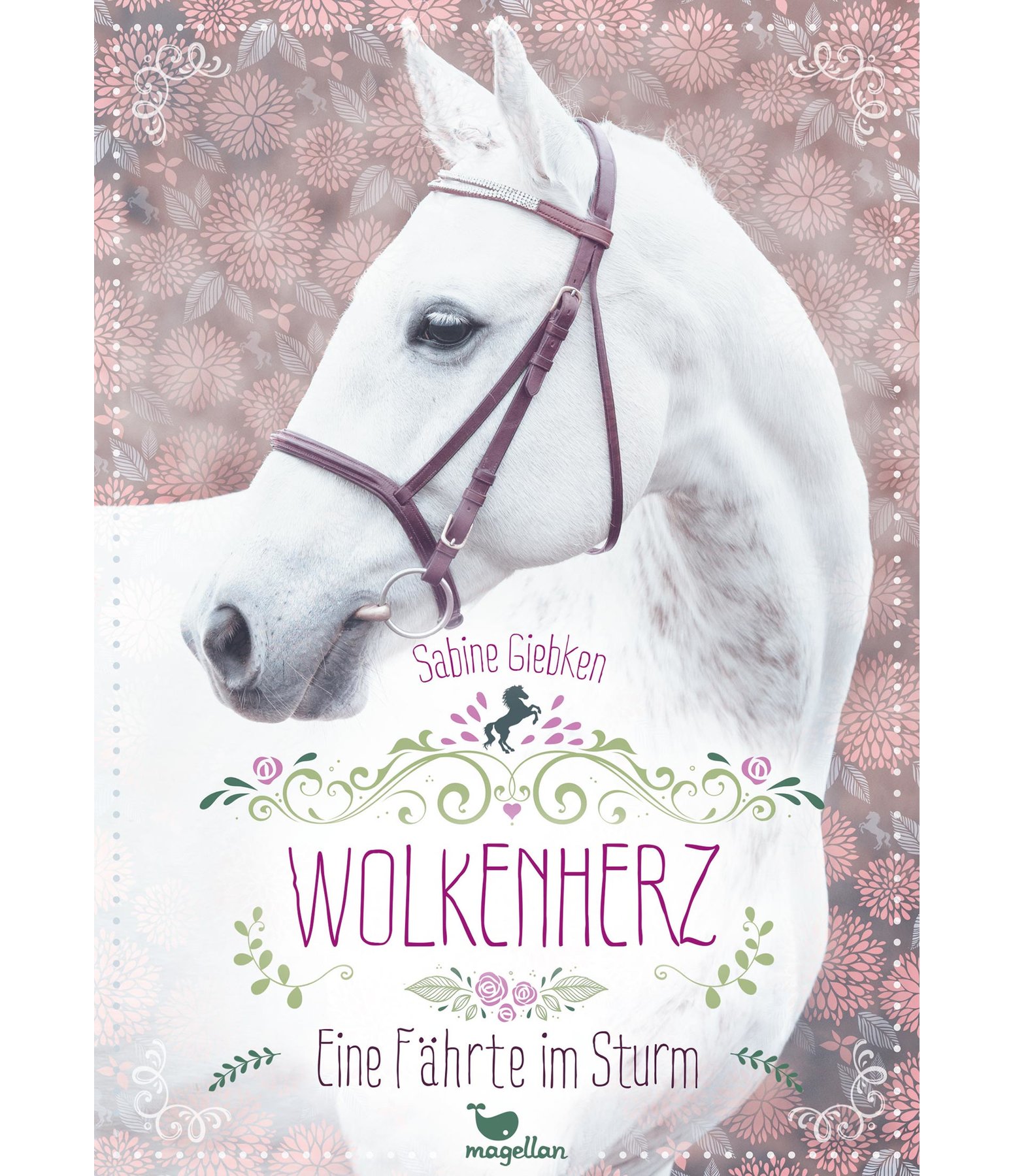 Wolkenherz - Eine Fährte im Sturm
