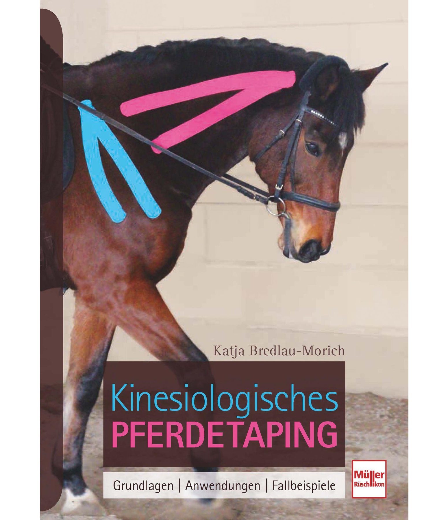 Kinesiologisches Pferdetaping