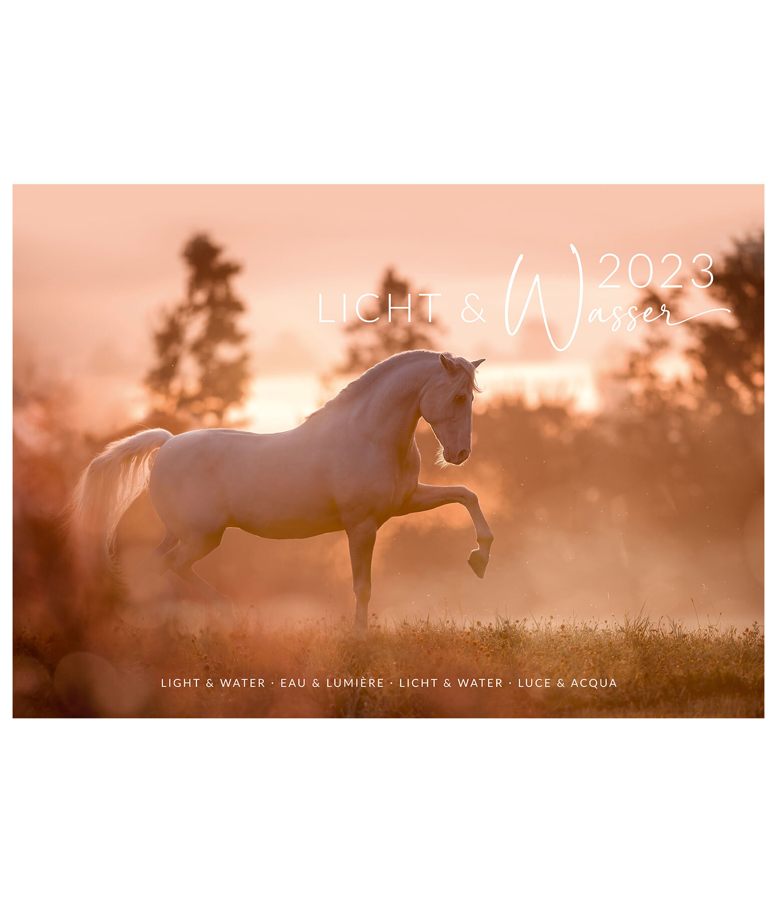 Horses & Water Kunstkalender 2021