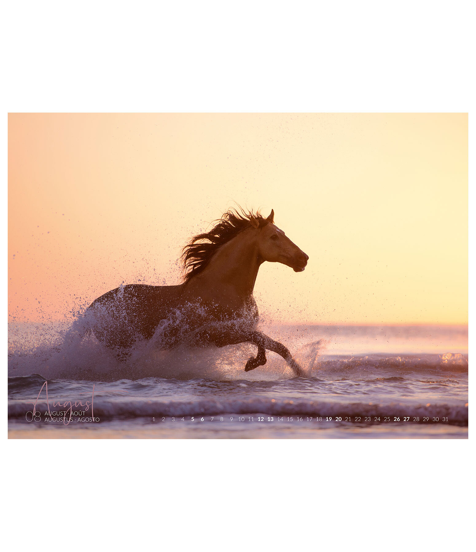 Horses & Water Kunstkalender 2021