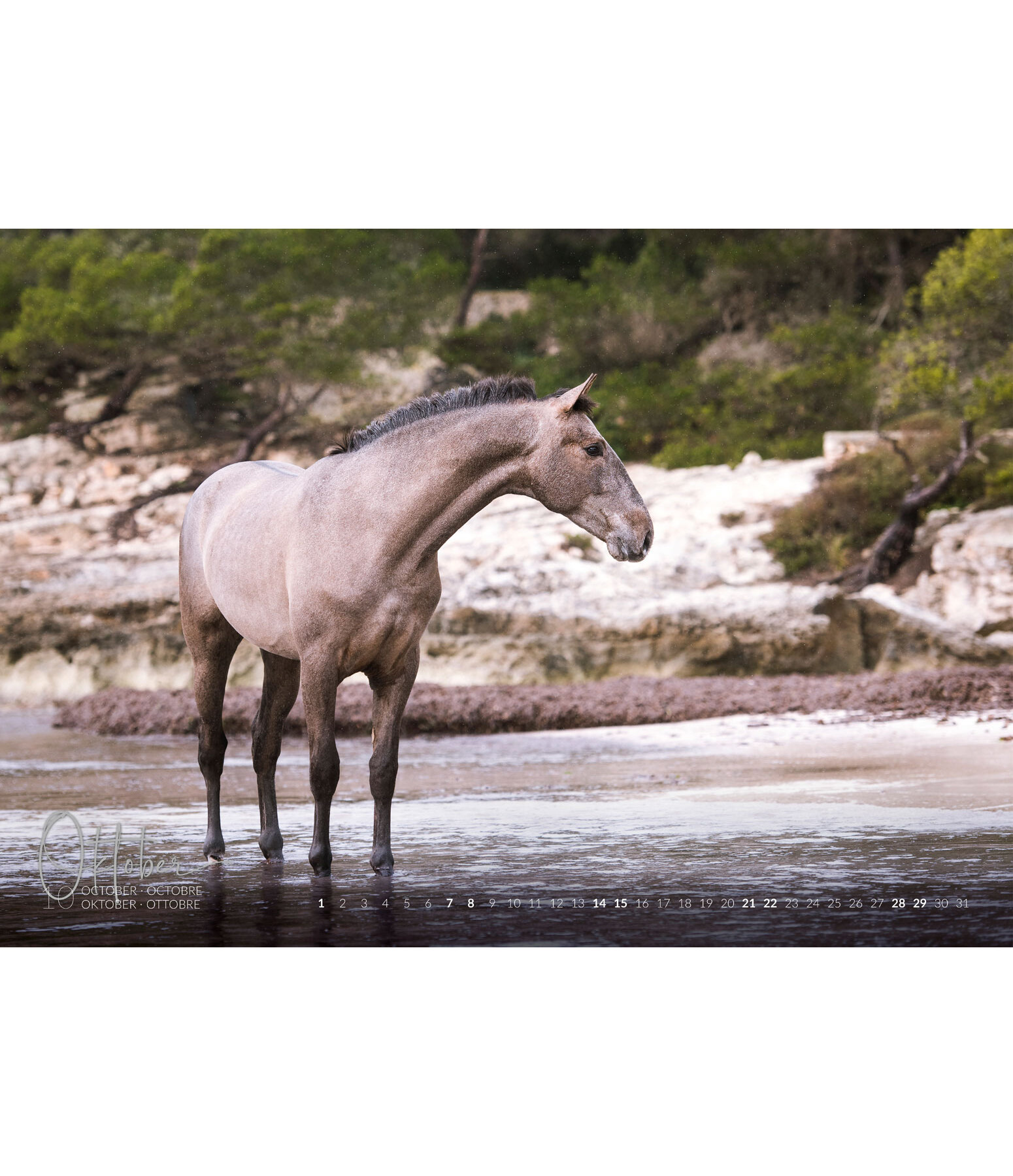 Horses & Water Kunstkalender 2021