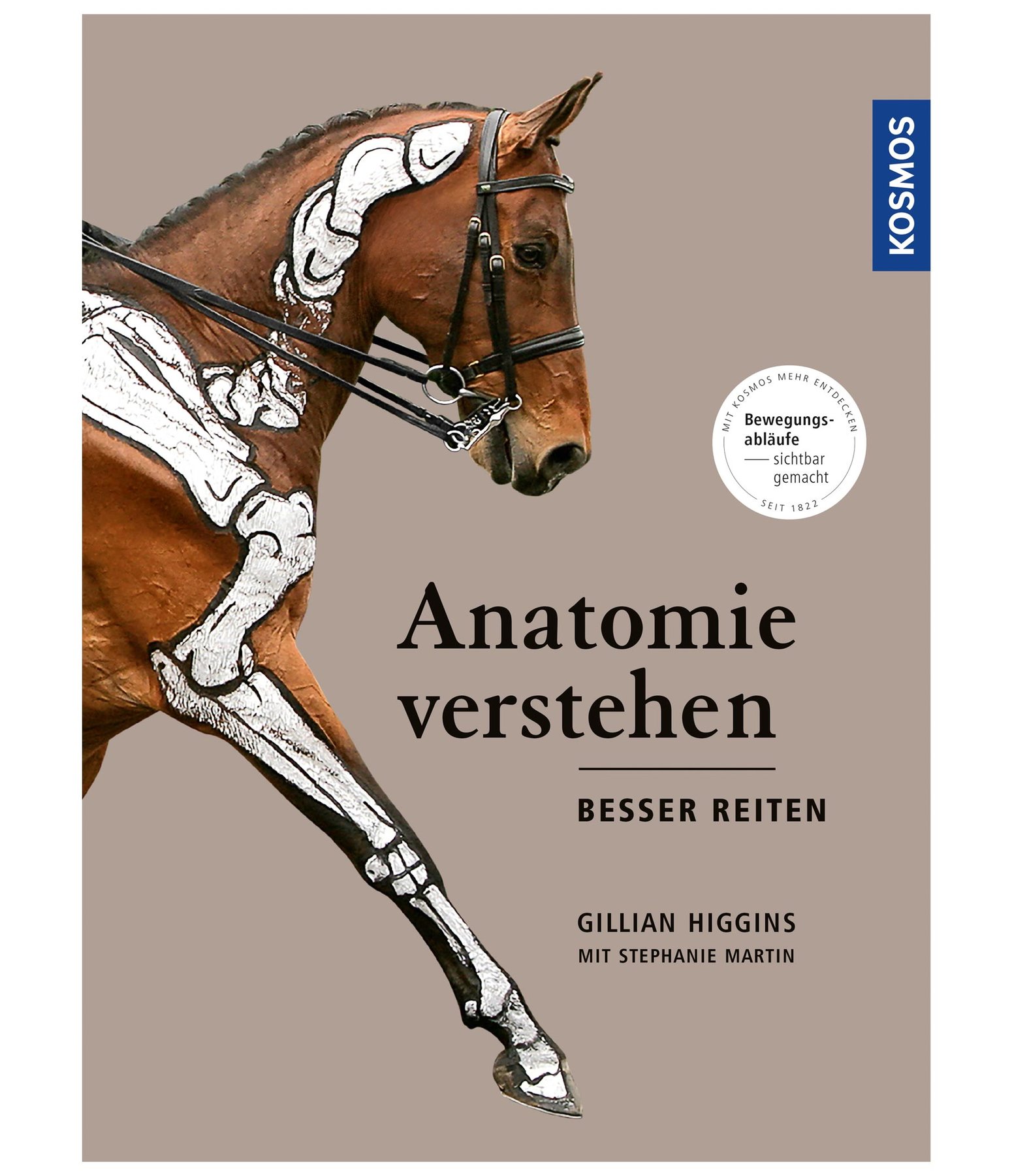 Anatomie verstehen - Besser Reiten
