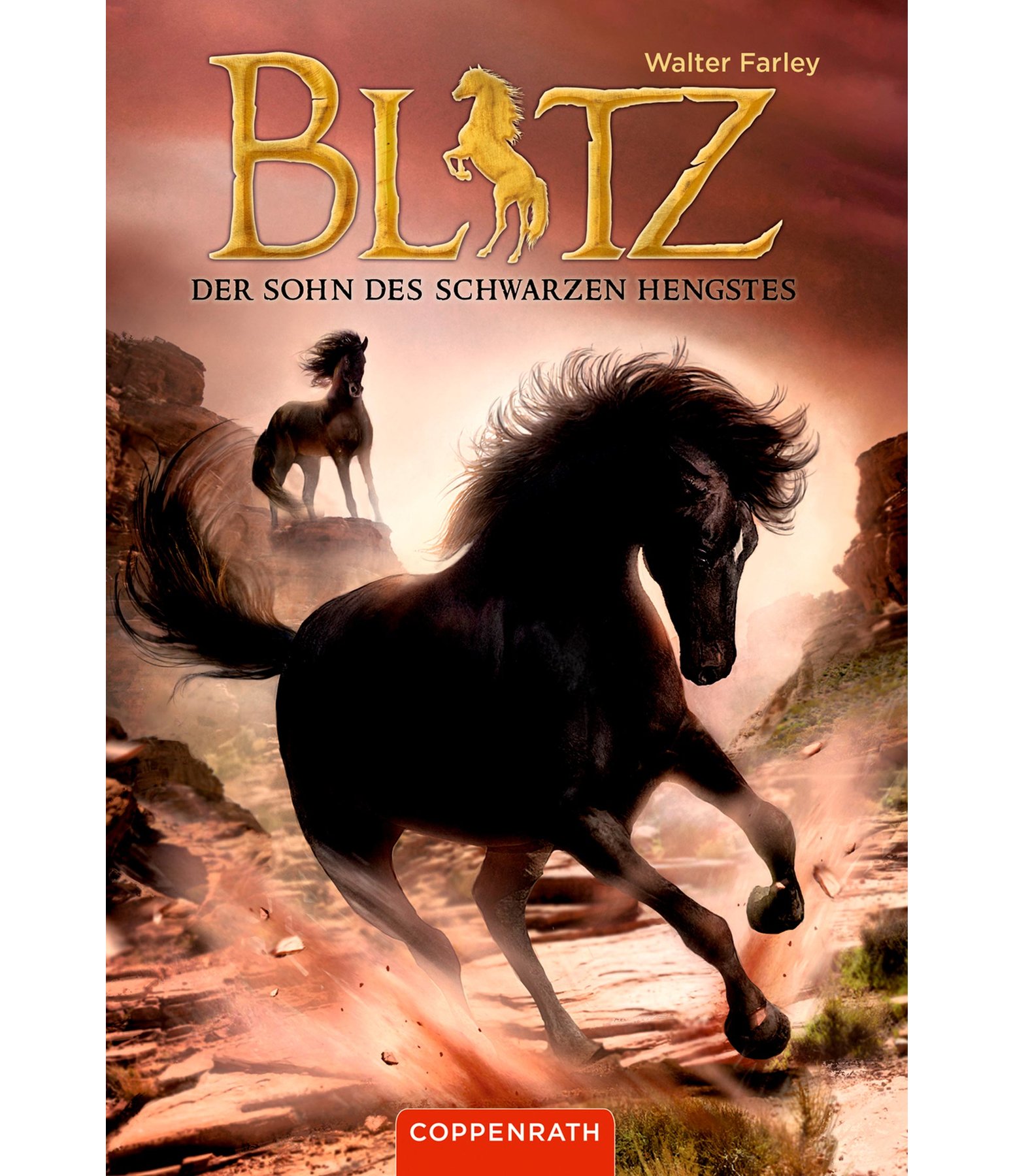 BLITZ Der Sohn des Schwarzen Hengstes