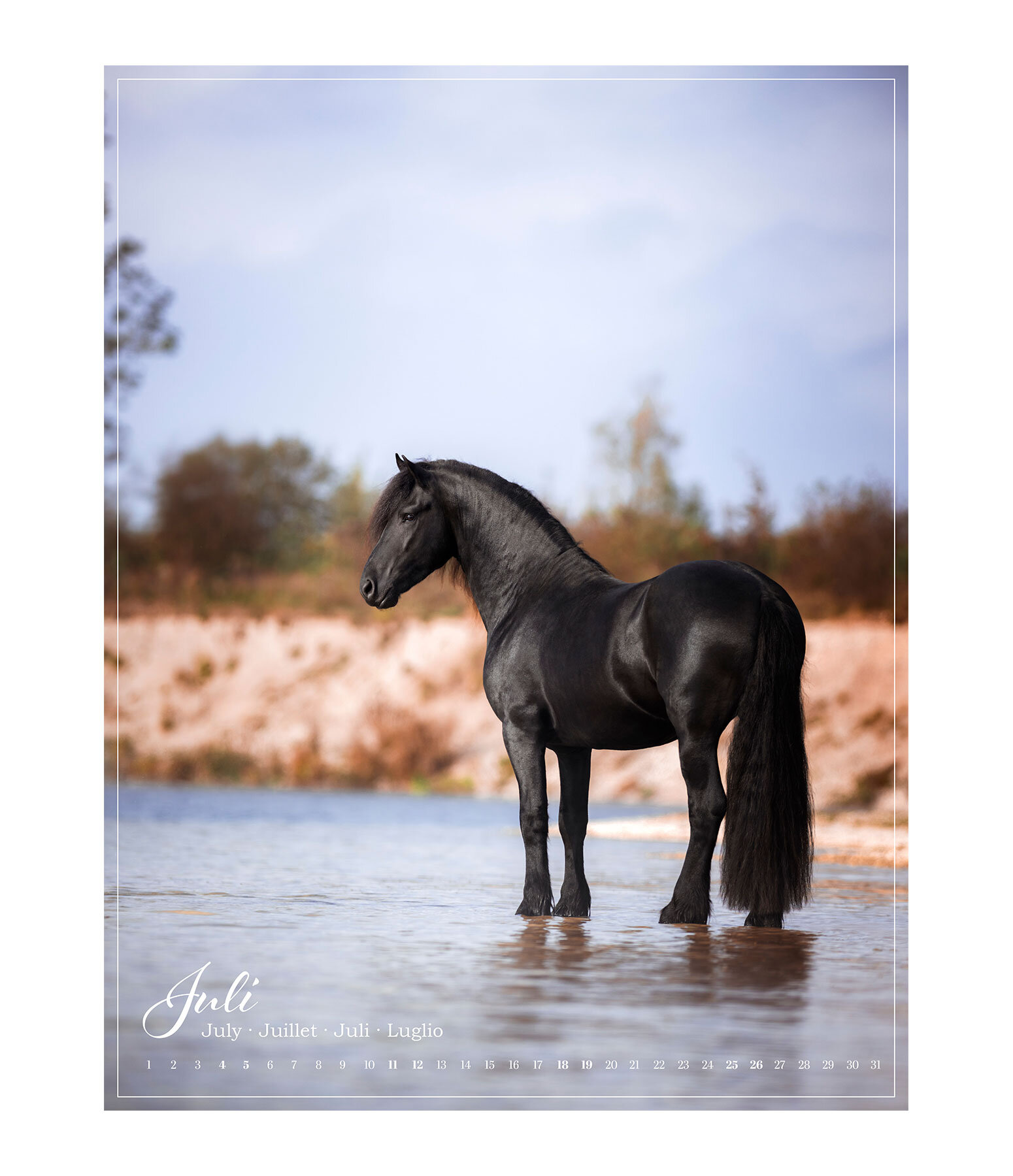 Pony Kalender 2025