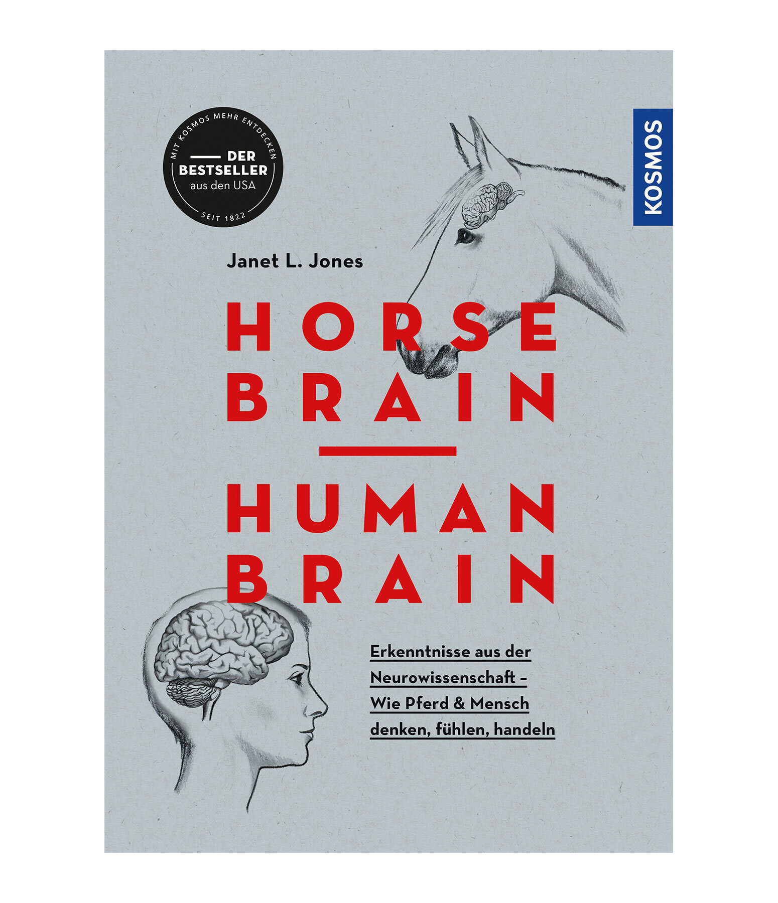 Horse Brain Human Brain